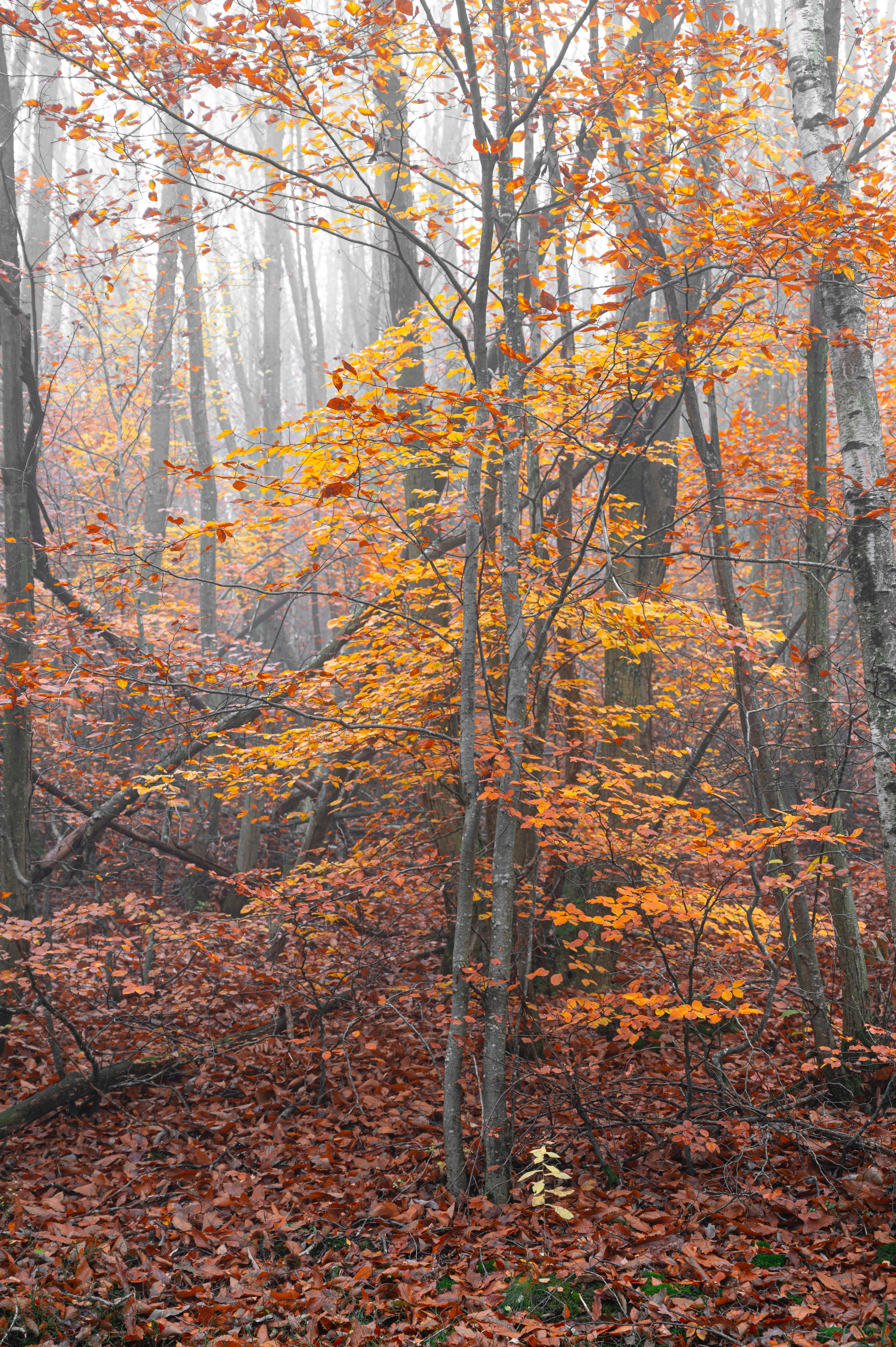 Photo by andreasbrun