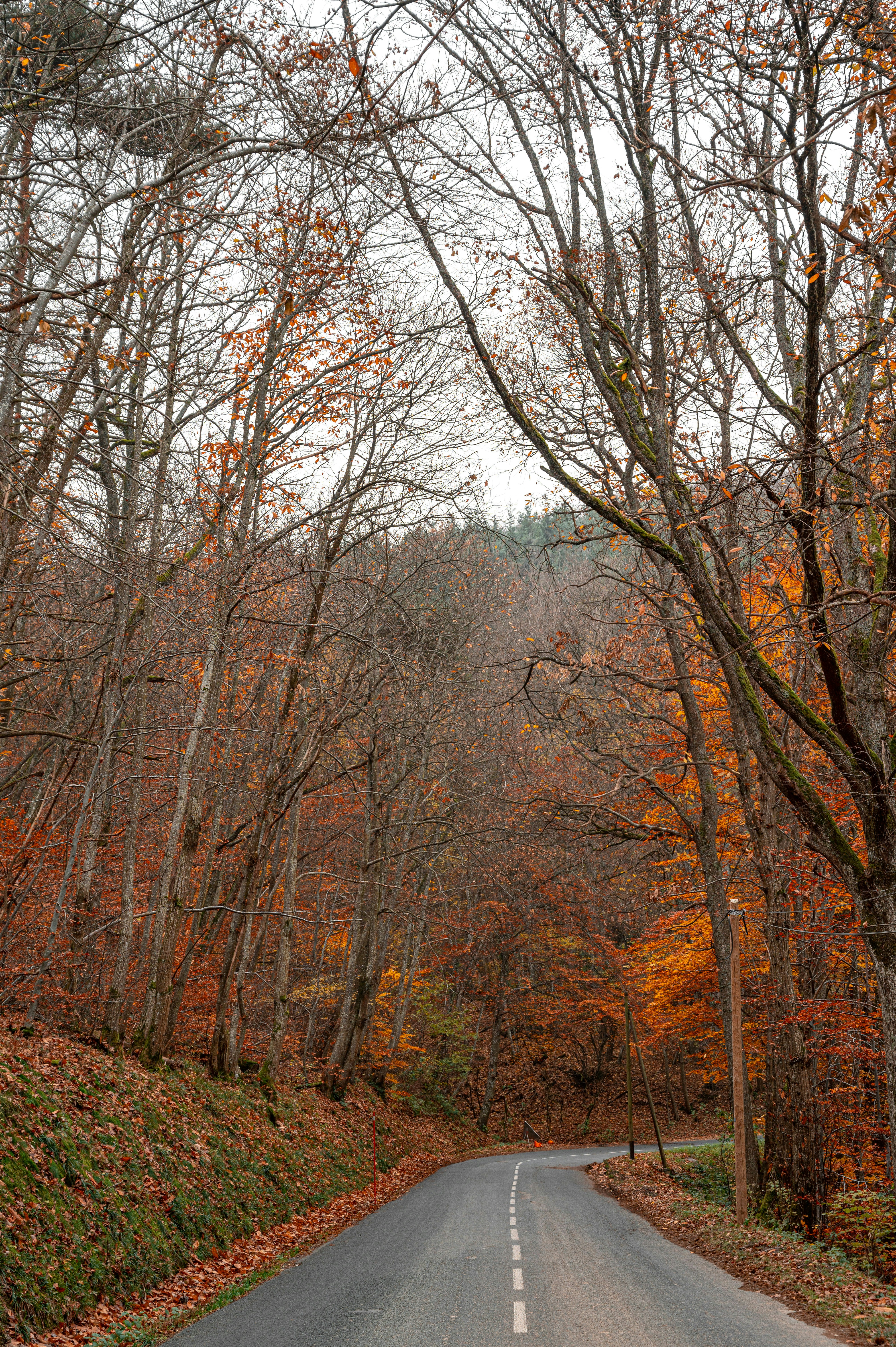 Photo by andreasbrun