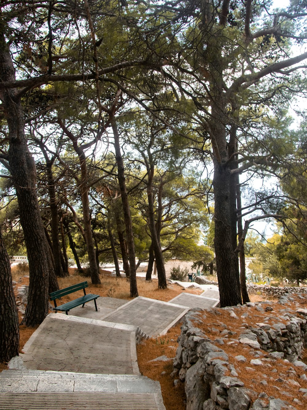 a wooden bench sitting in the middle of a forest