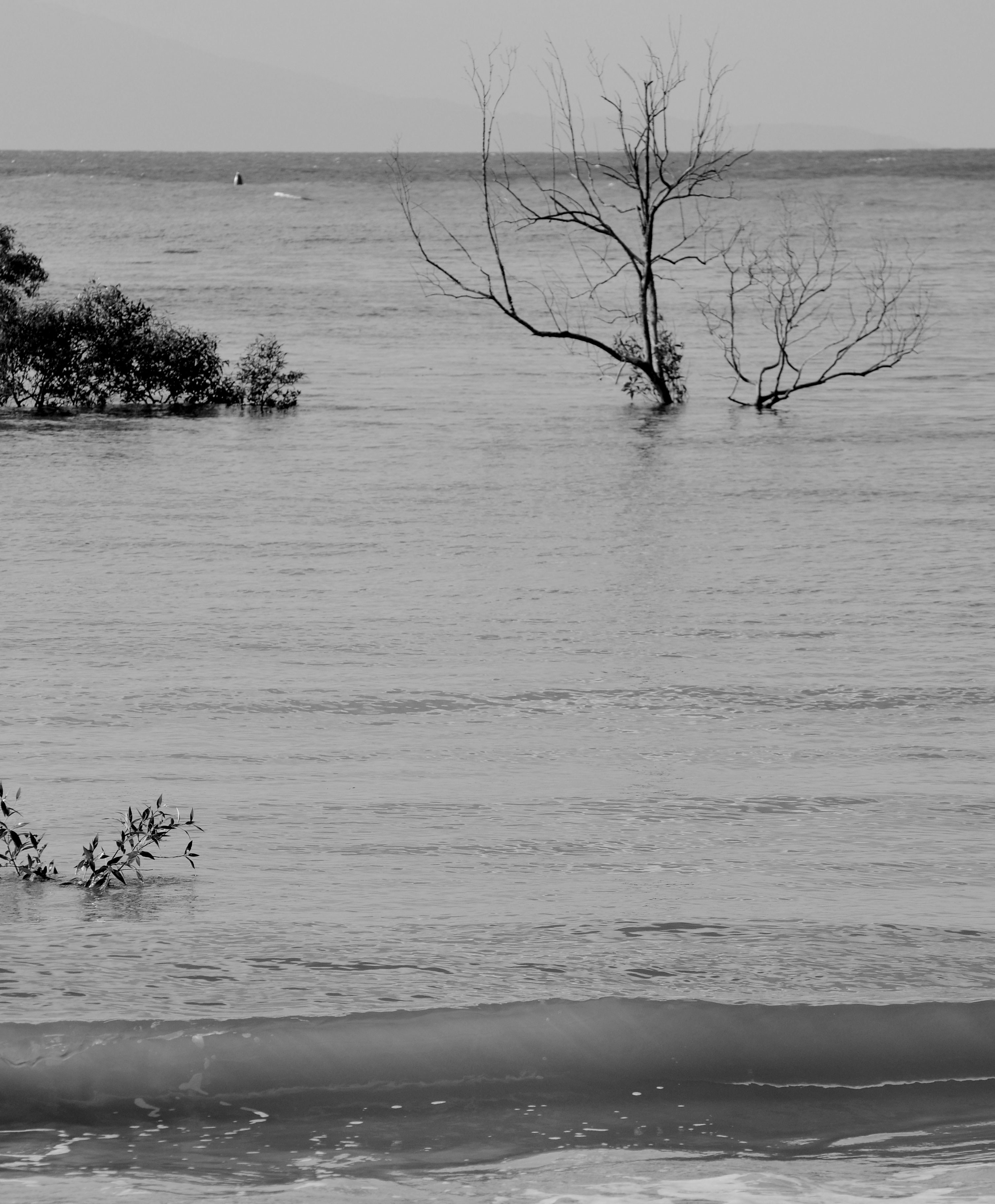 A black and white photo of a body of water photo – Free Grey Image on ...