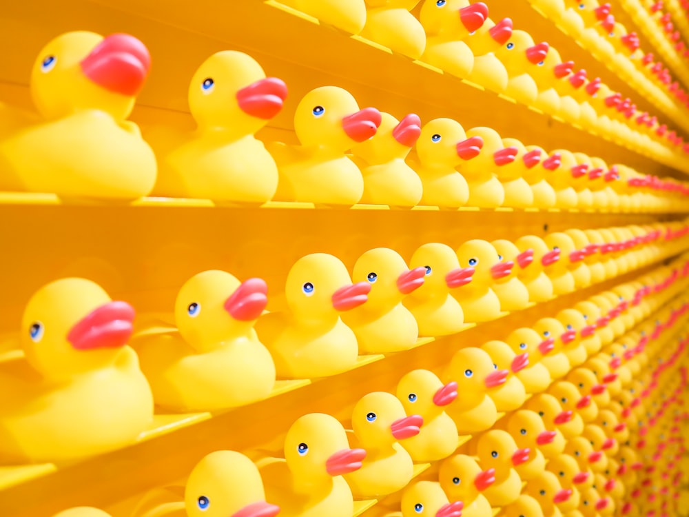 a bunch of rubber ducks lined up in a row