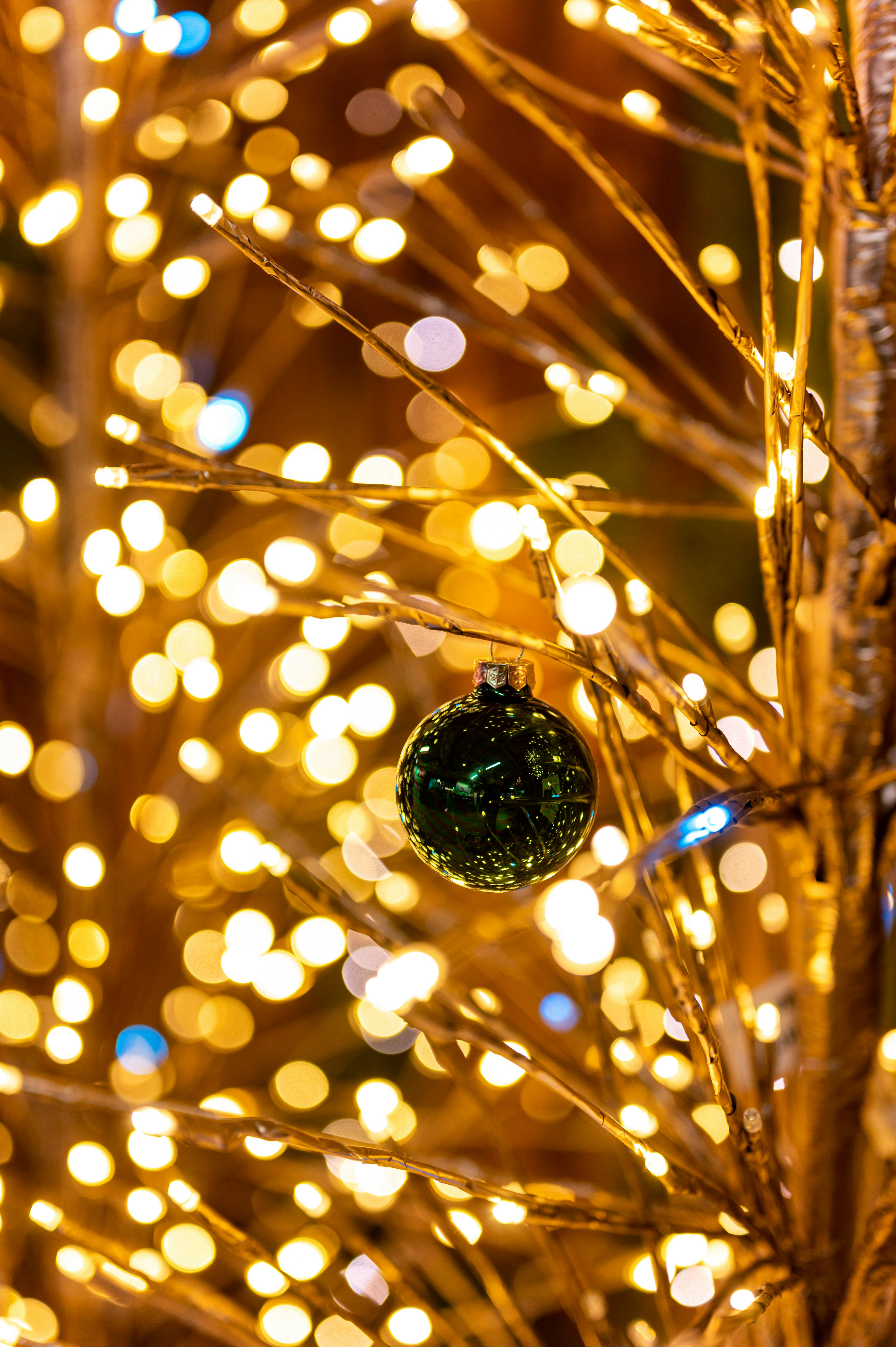 Photo by andreasbrun