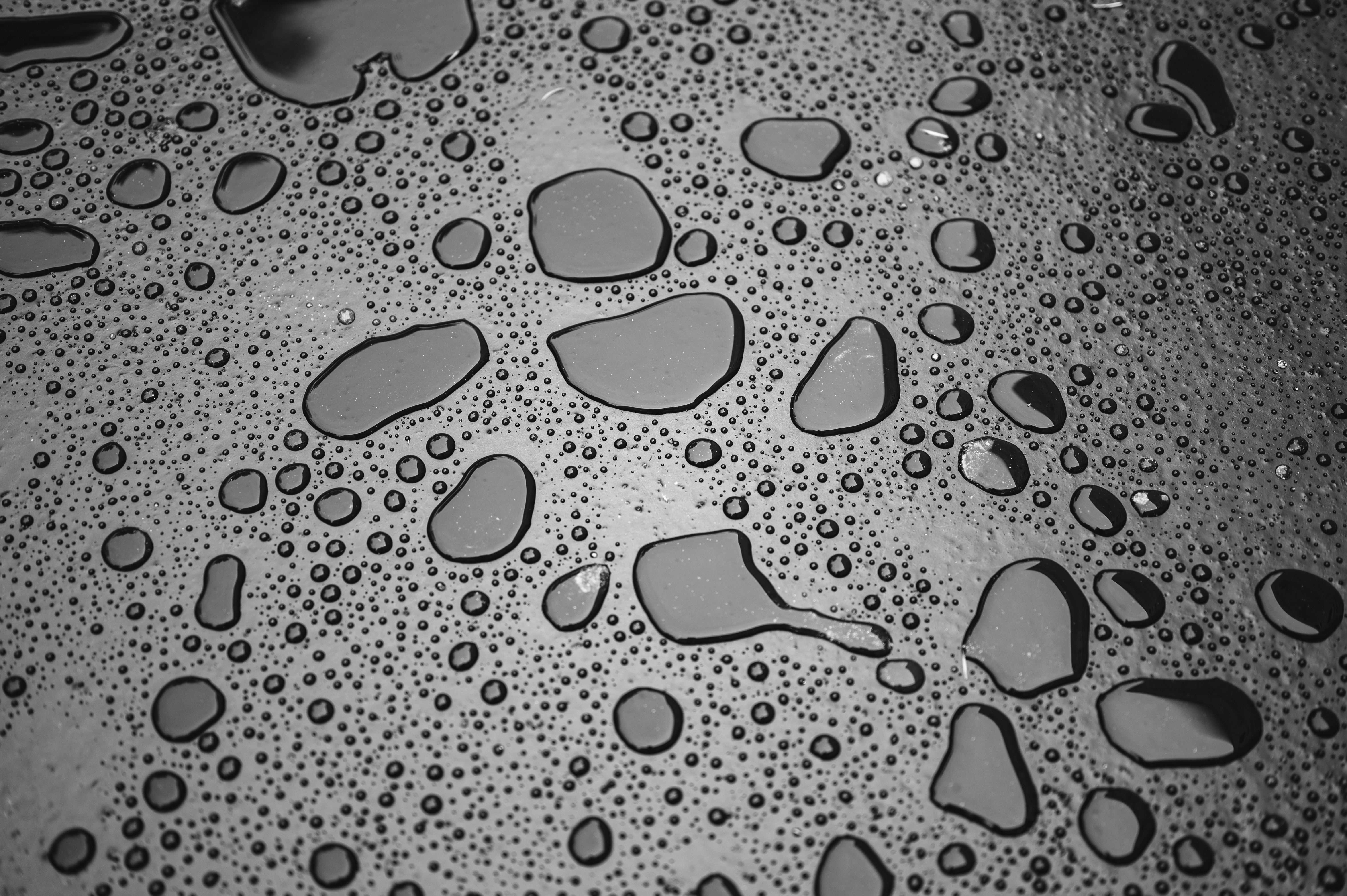 Photo by andreasbrun