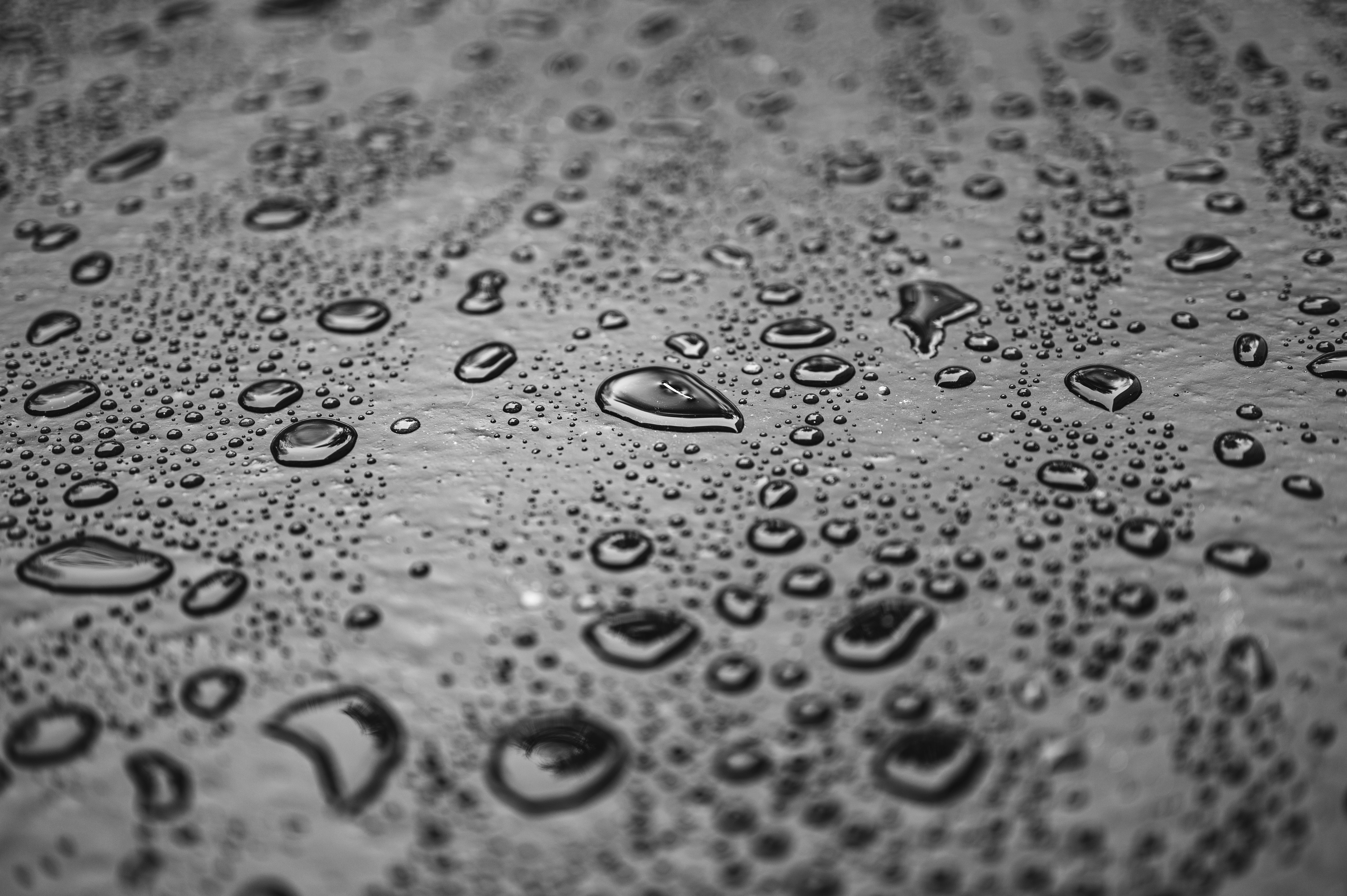 Photo by andreasbrun