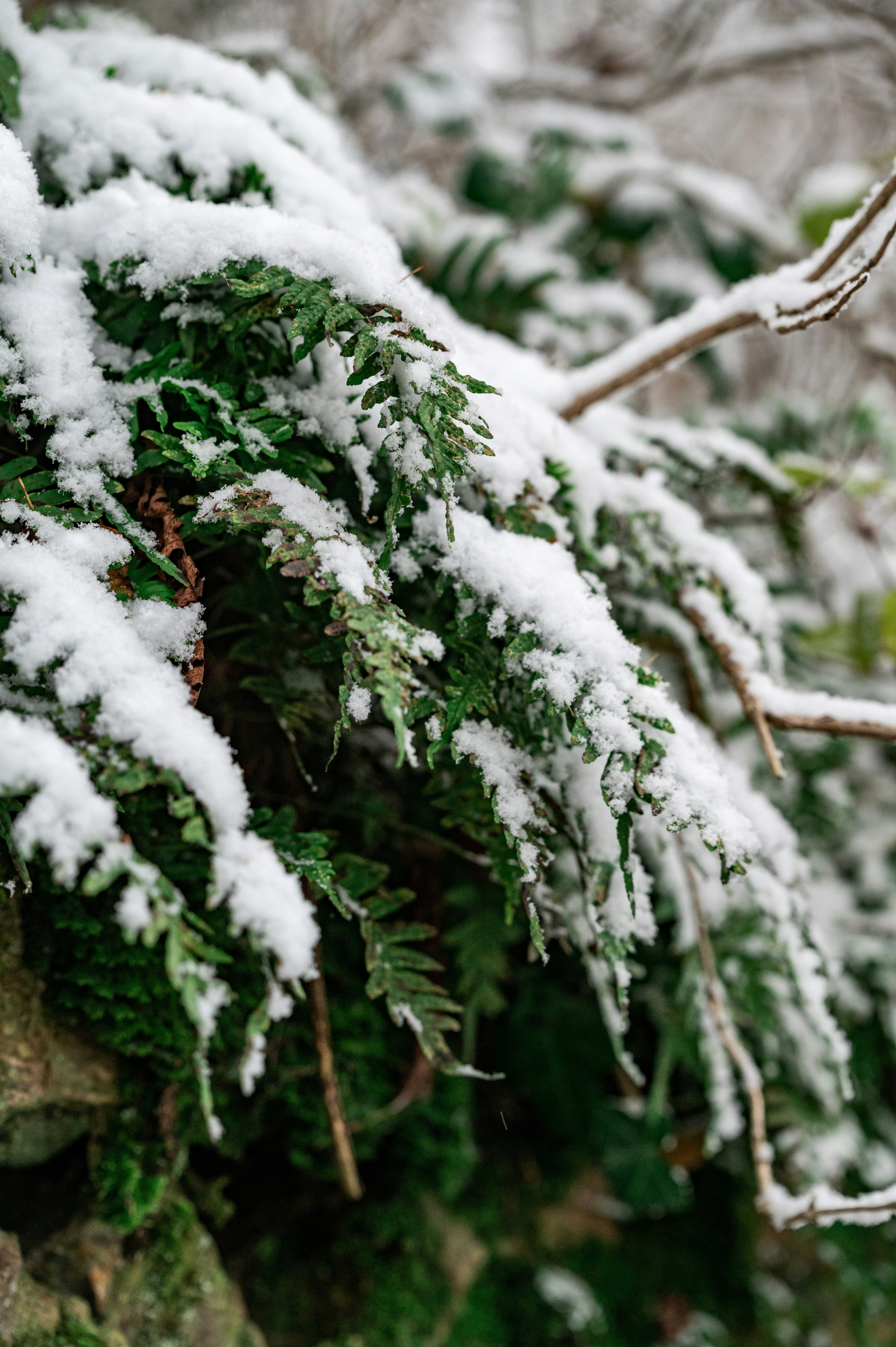 Photo by andreasbrun