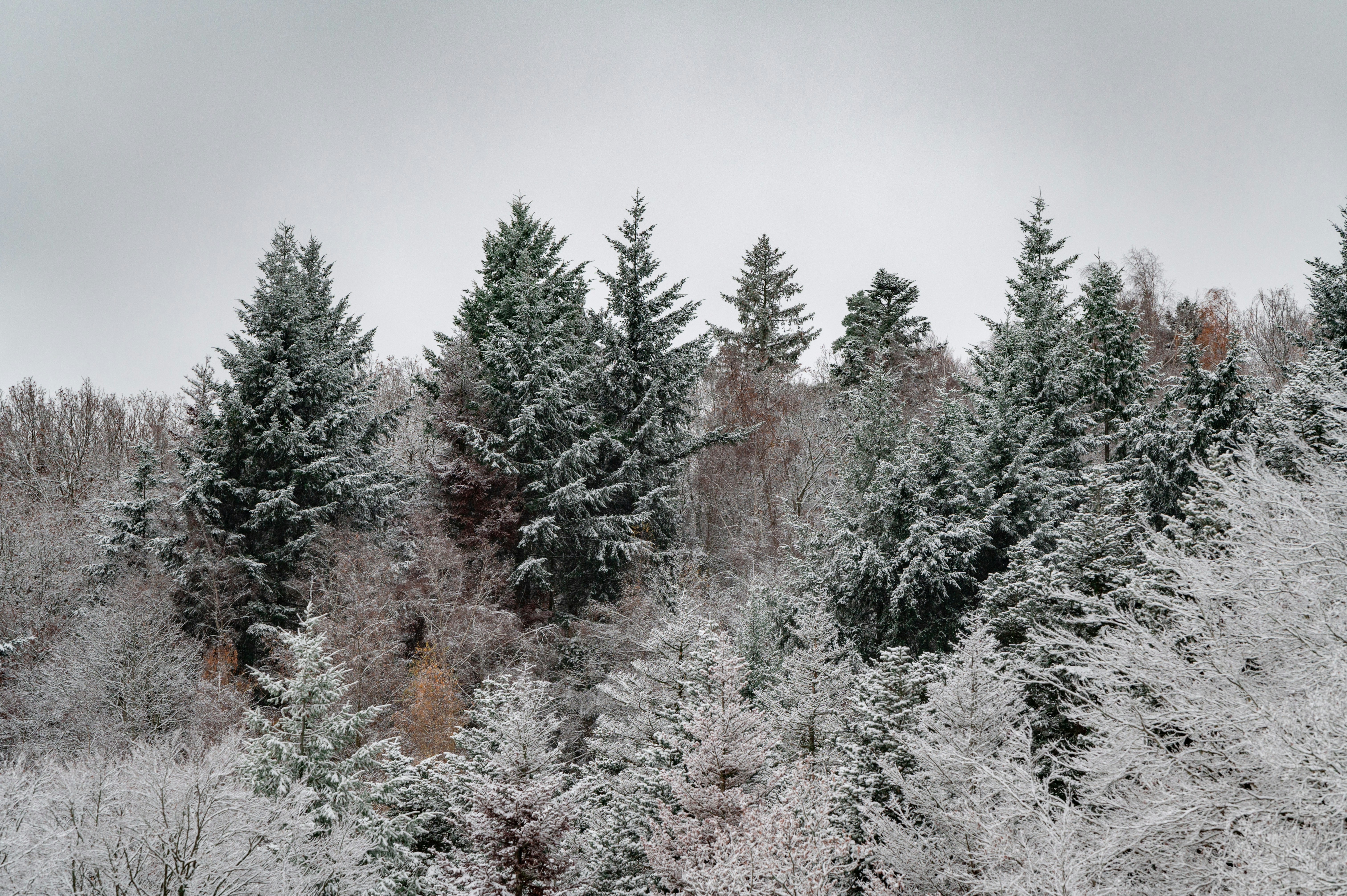 Photo by andreasbrun