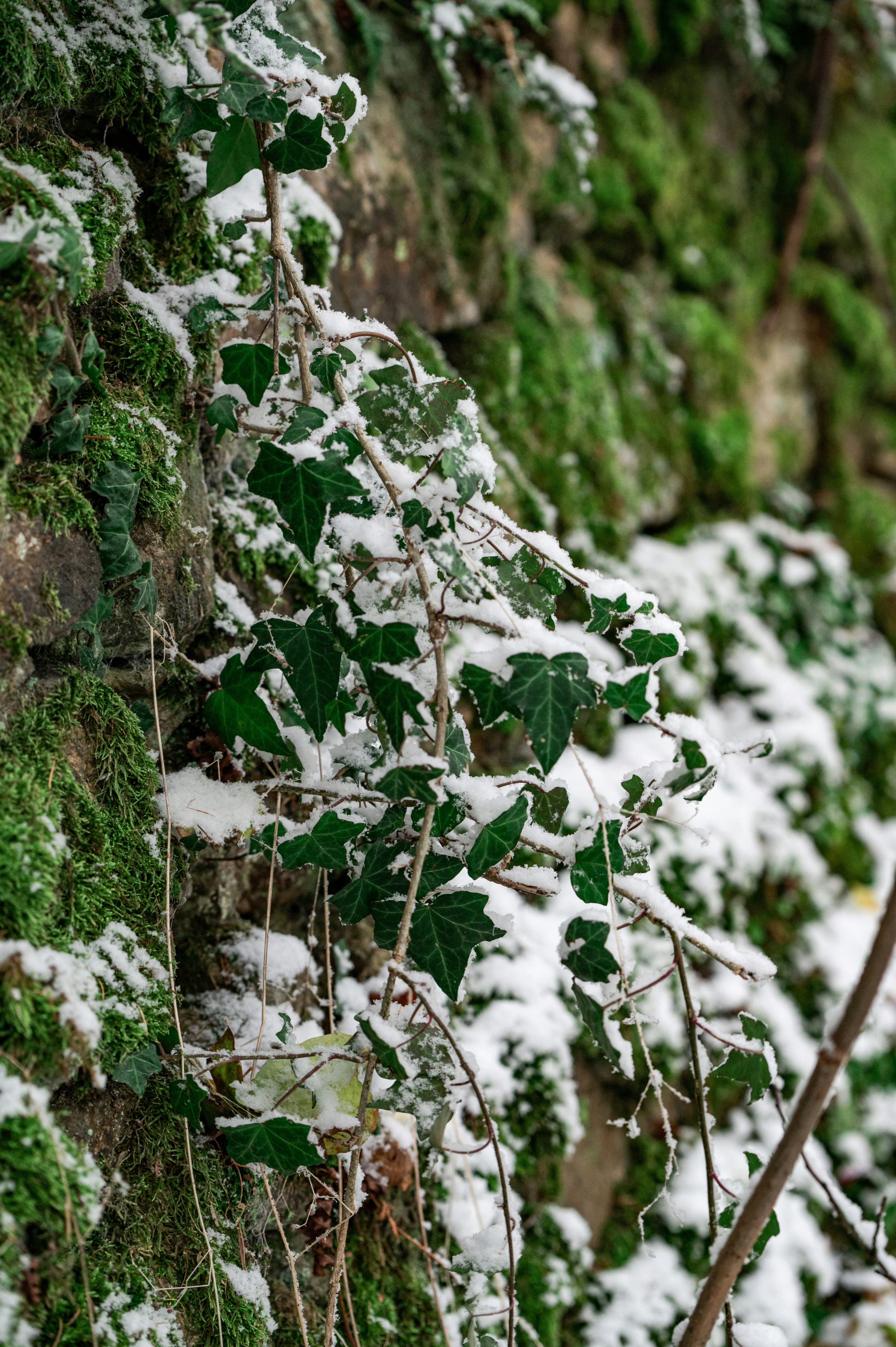 Photo by andreasbrun