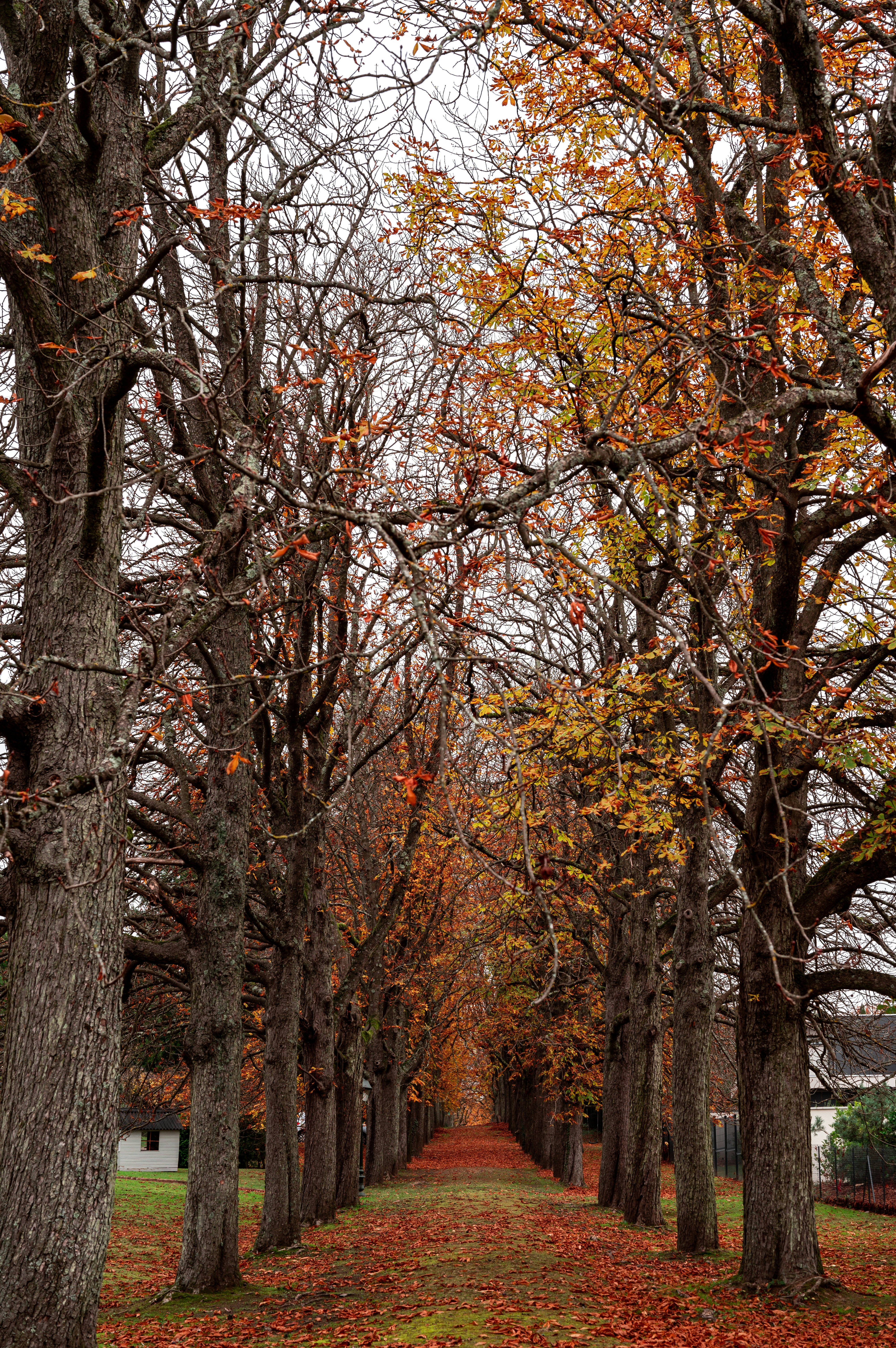 Photo by andreasbrun