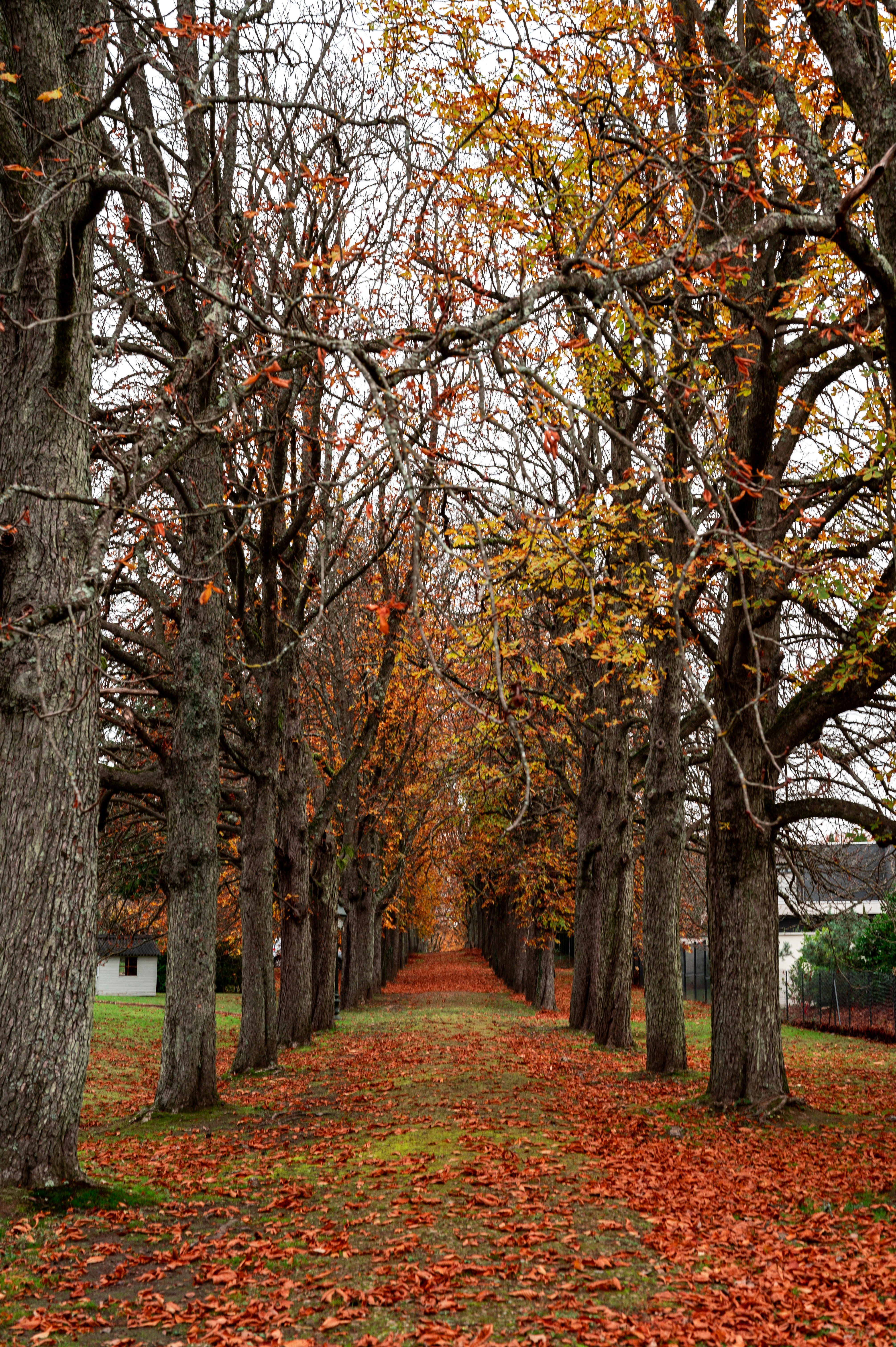 Photo by andreasbrun