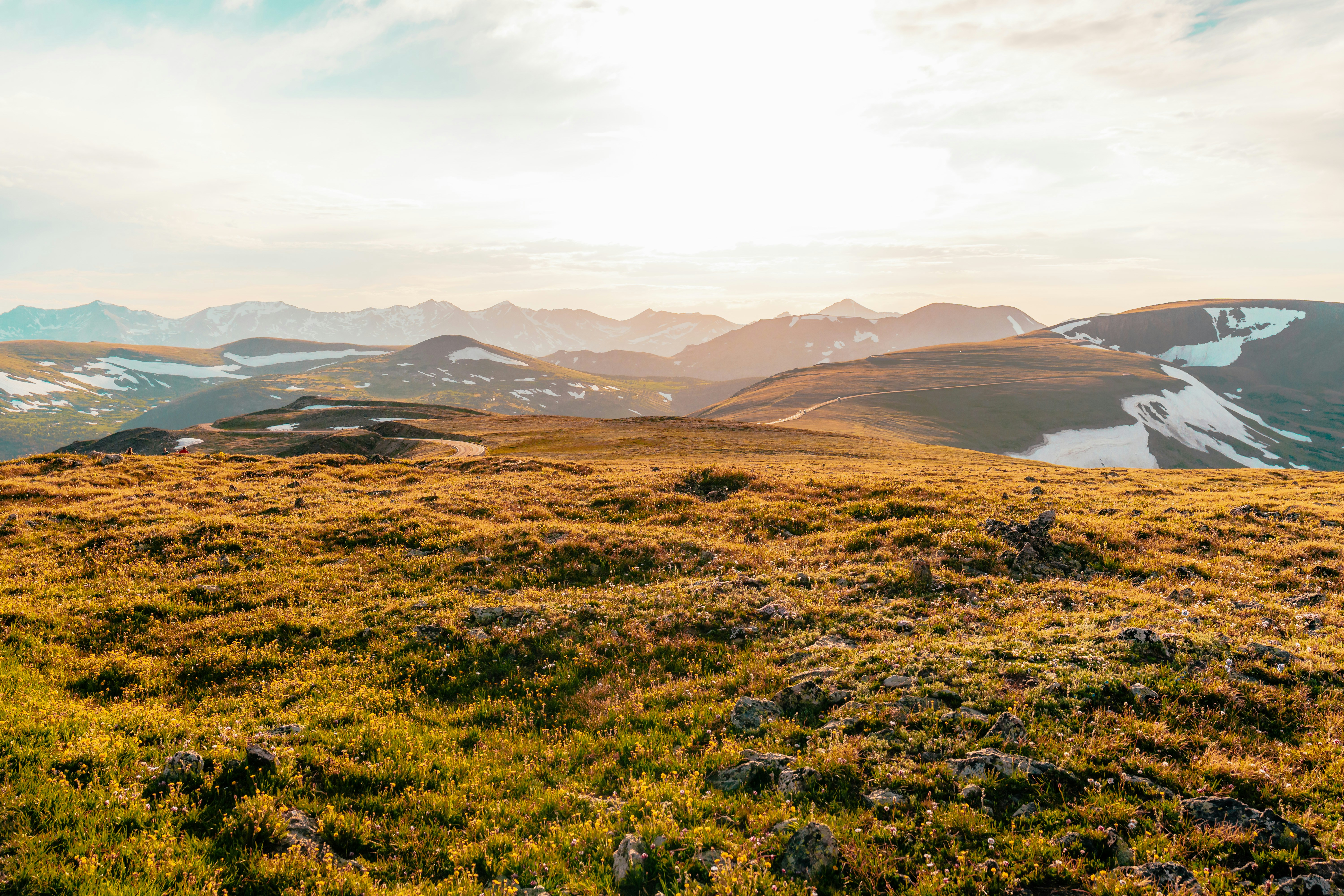 Photo by haroldwainwright