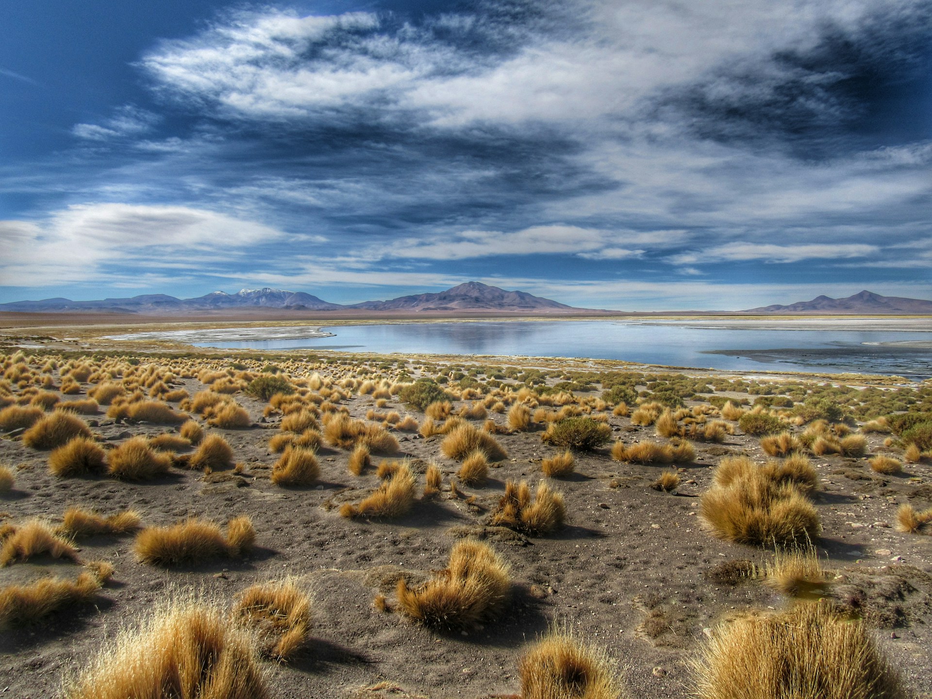 a large body of water surrounded by dry grass