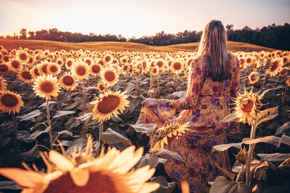 a woman sitting in a field of sunflowers