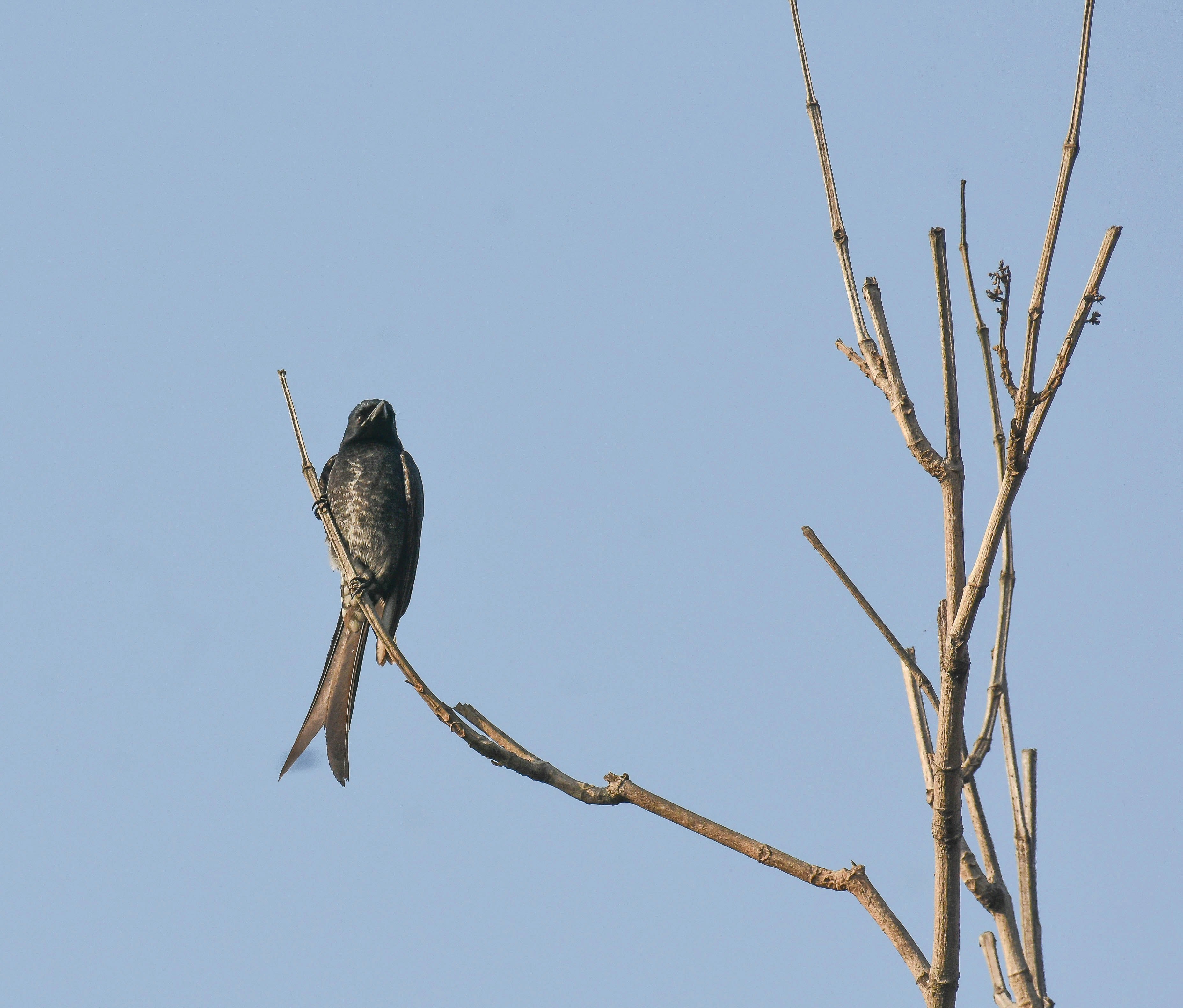 Photo by rahuldeshmukh18