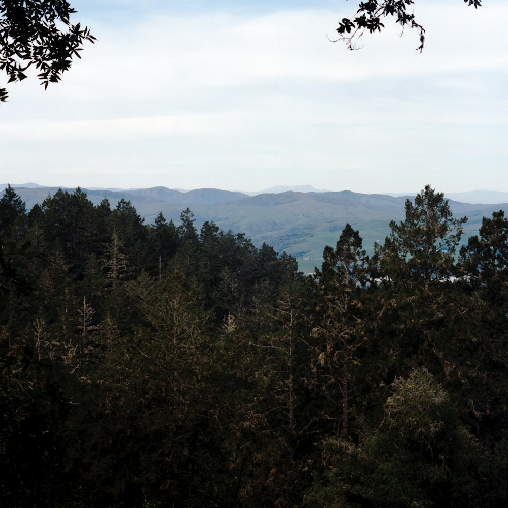 a view of the mountains from a distance