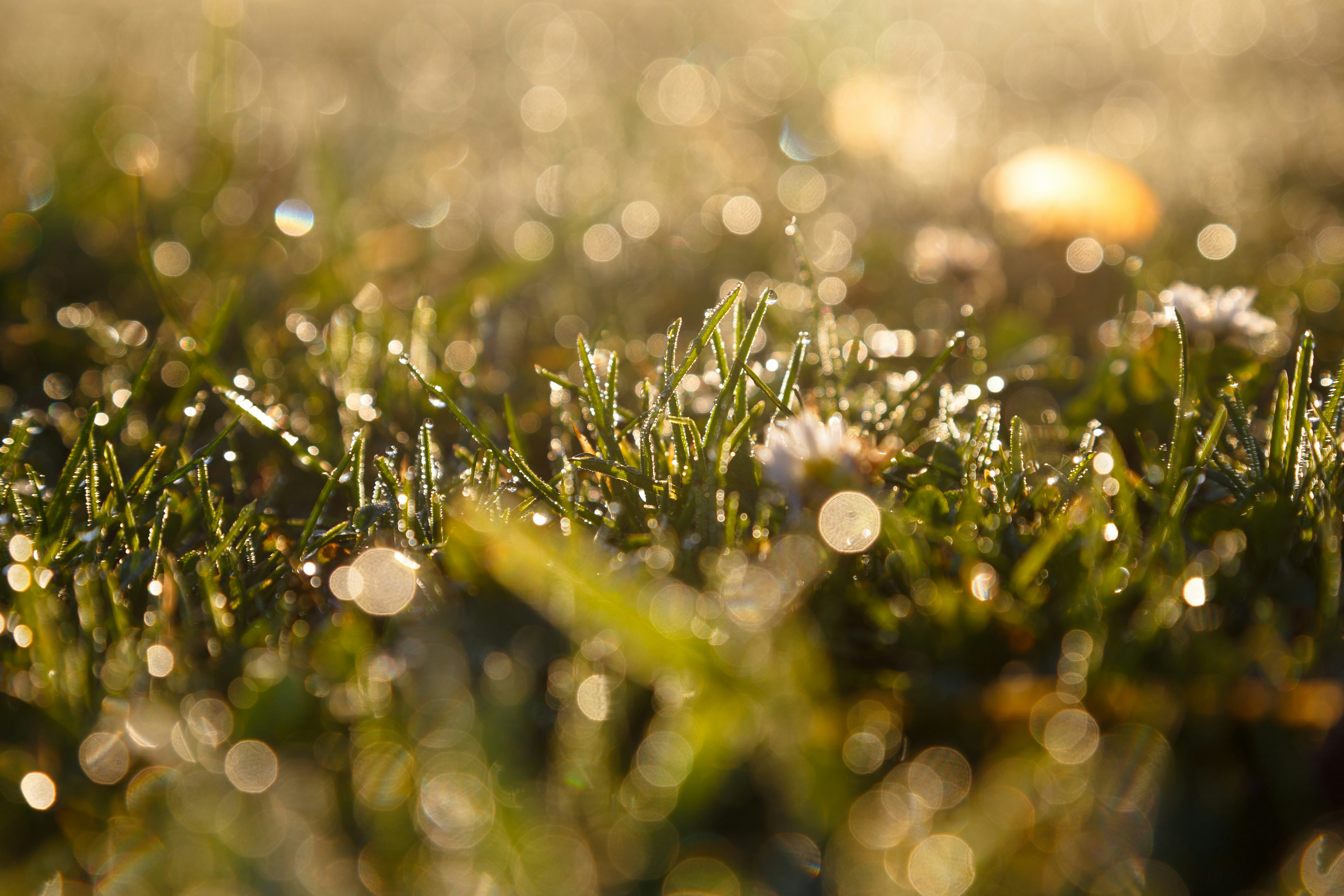 Photo by alien_roger