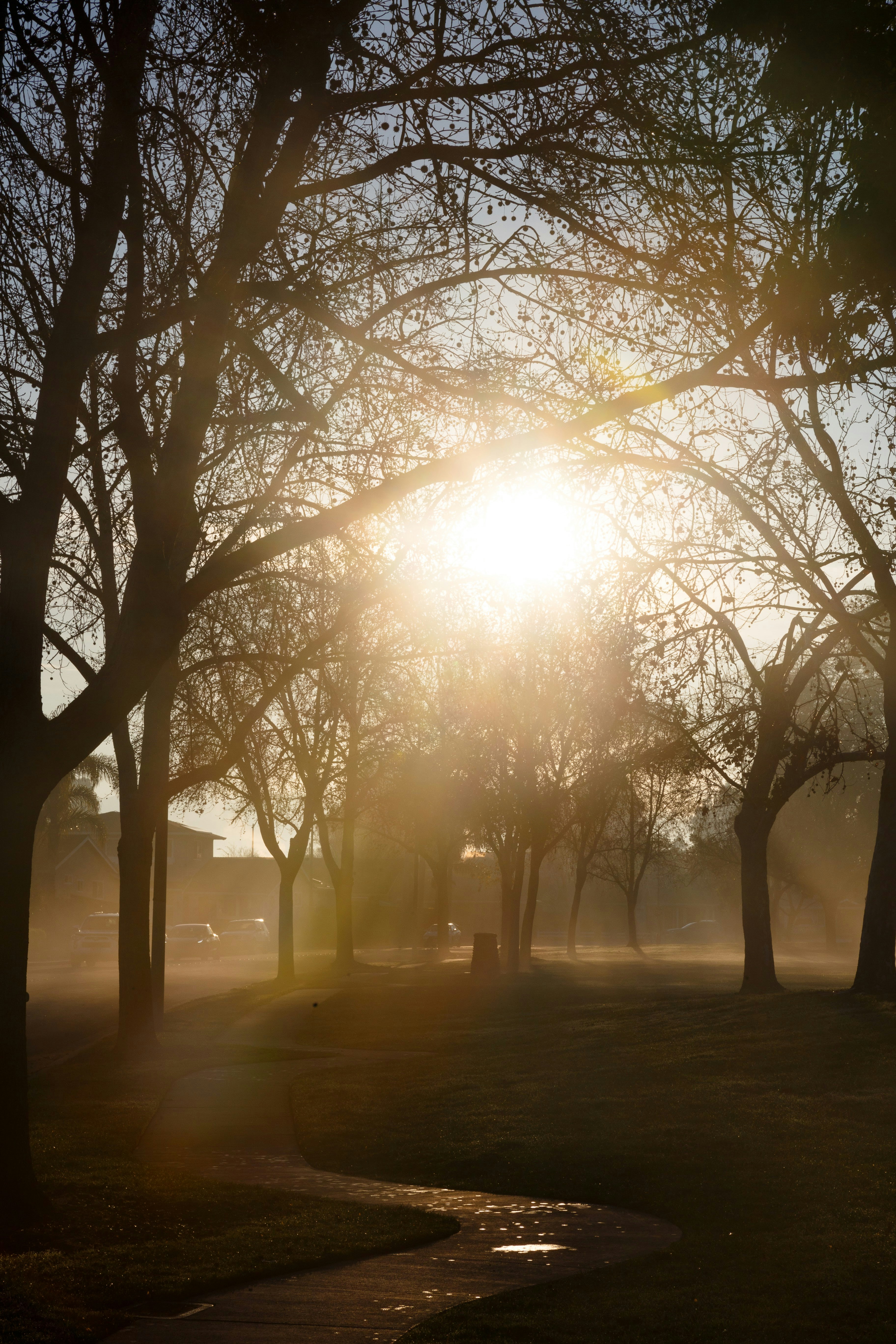 Photo by alien_roger