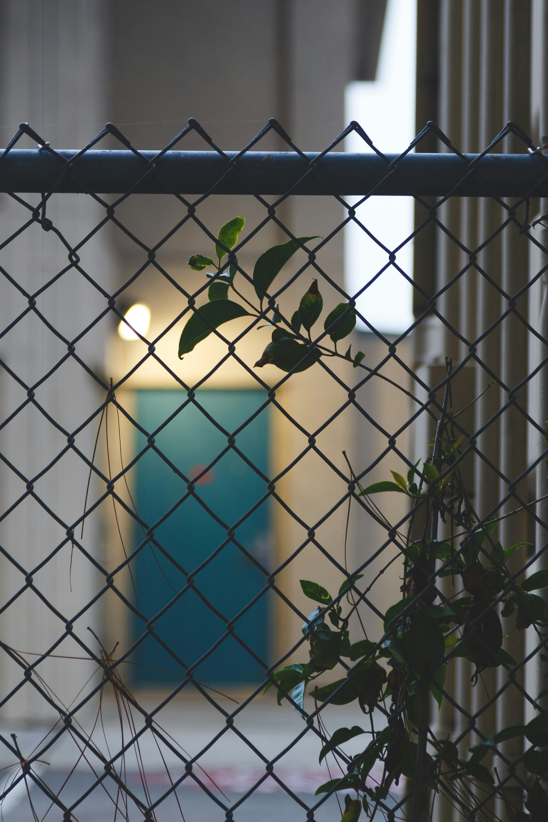 Photo by alien_roger