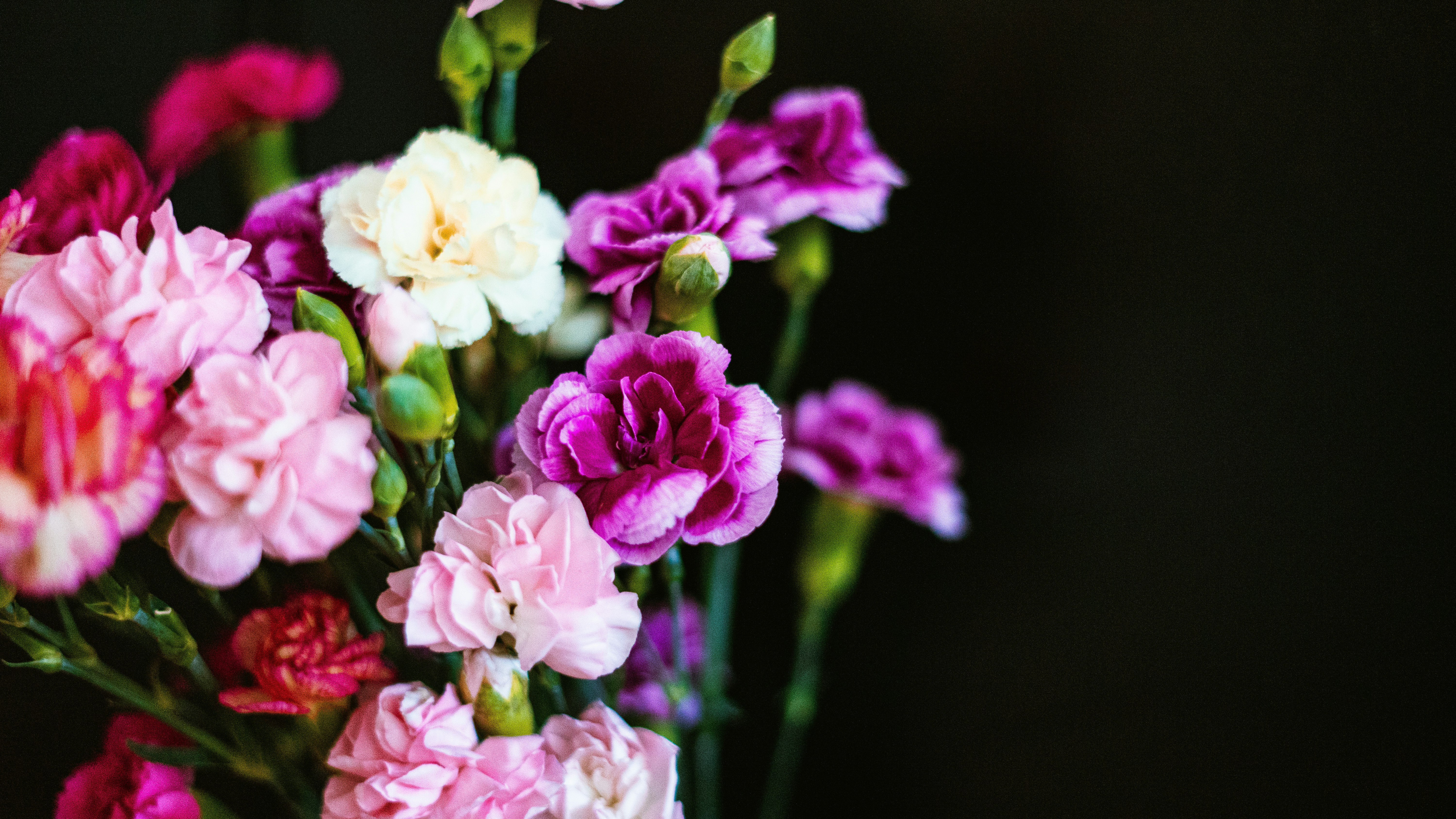 Photo by cthecreator