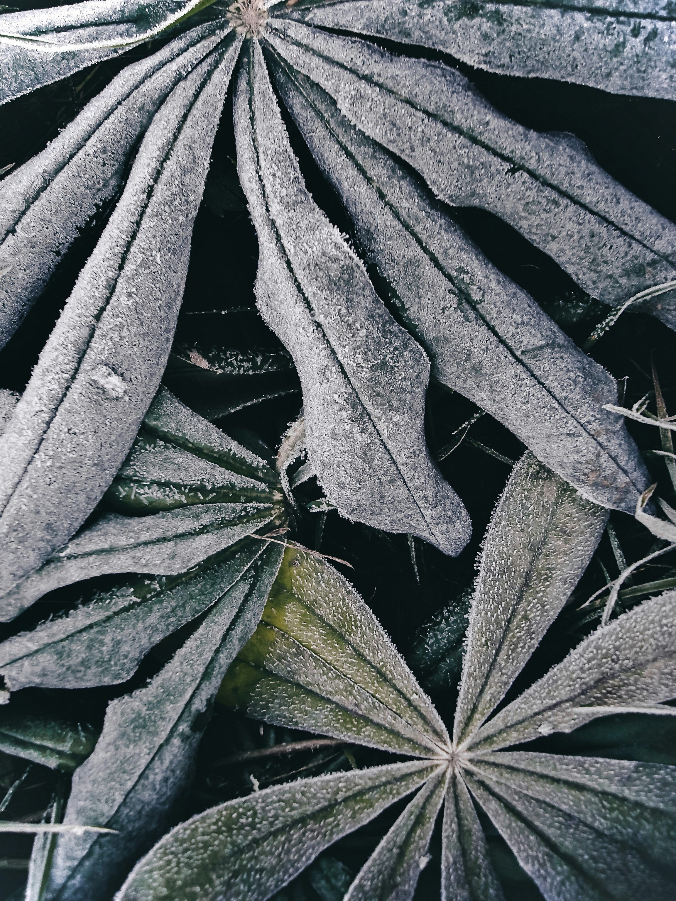 Photo by eugene_golovesov