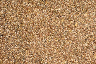 a close up of a bird on a bird feeder