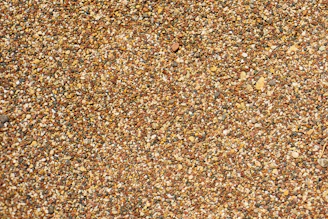 a close up of a bird on a bird feeder