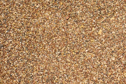 a close up of a bird on a bird feeder