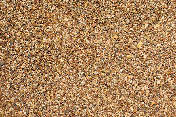 a close up of a bird on a bird feeder