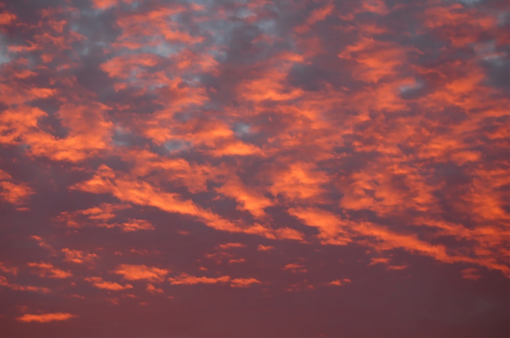 a plane flying in the sky at sunset