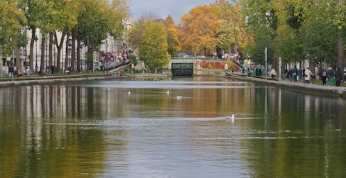 a body of water surrounded by trees and buildings
