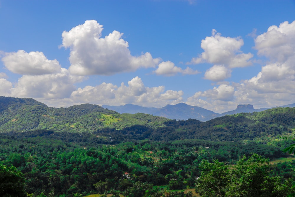 a view of a lush green valley with mountains in the background