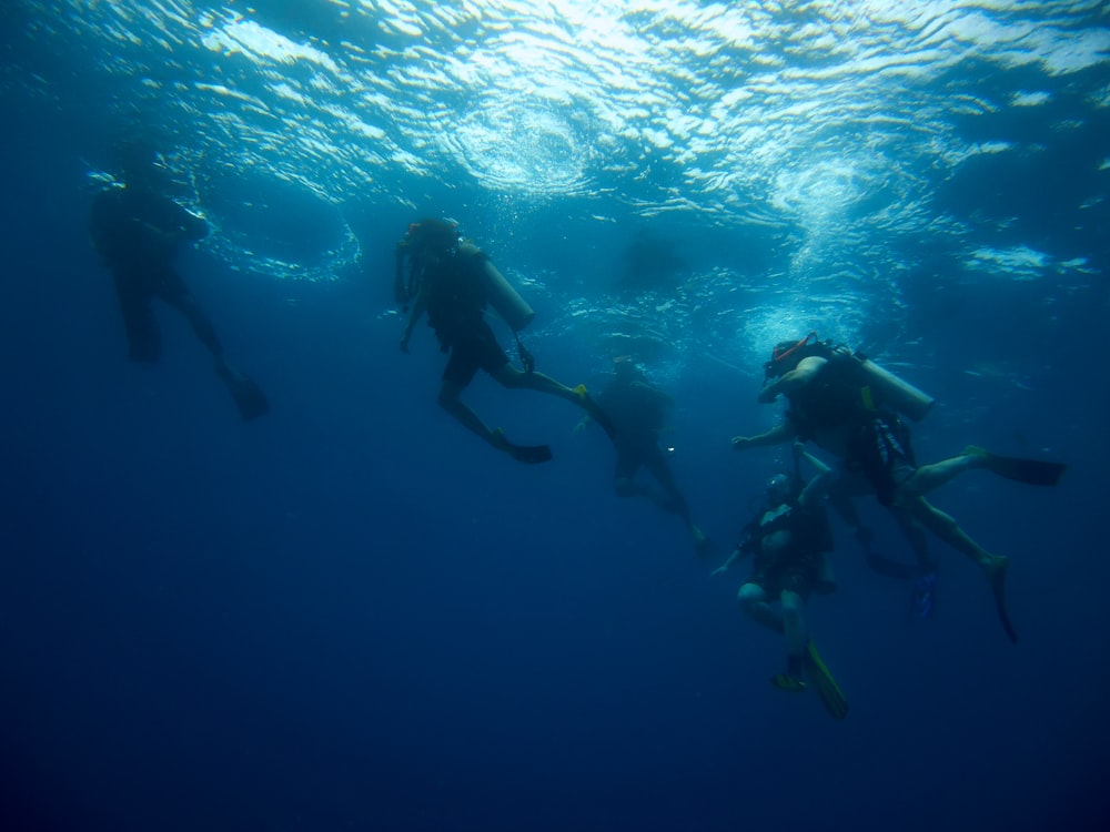 a group of people swimming in the ocean