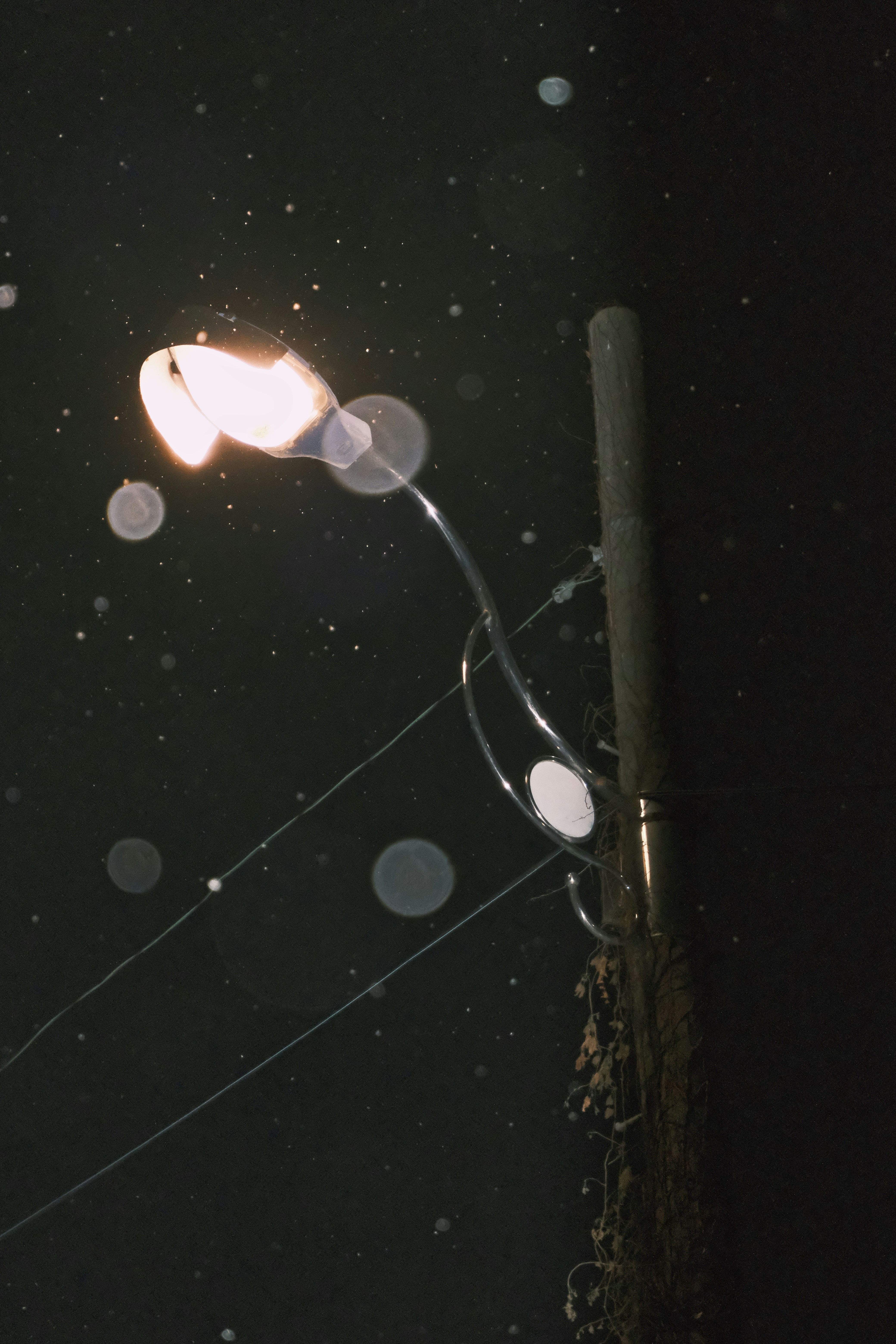a street light on a pole in the dark