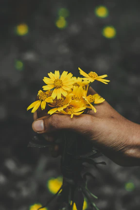 Close-up of hands holding a delicate bouquet of yellow flowers, framed in an oval shape with a soft white background