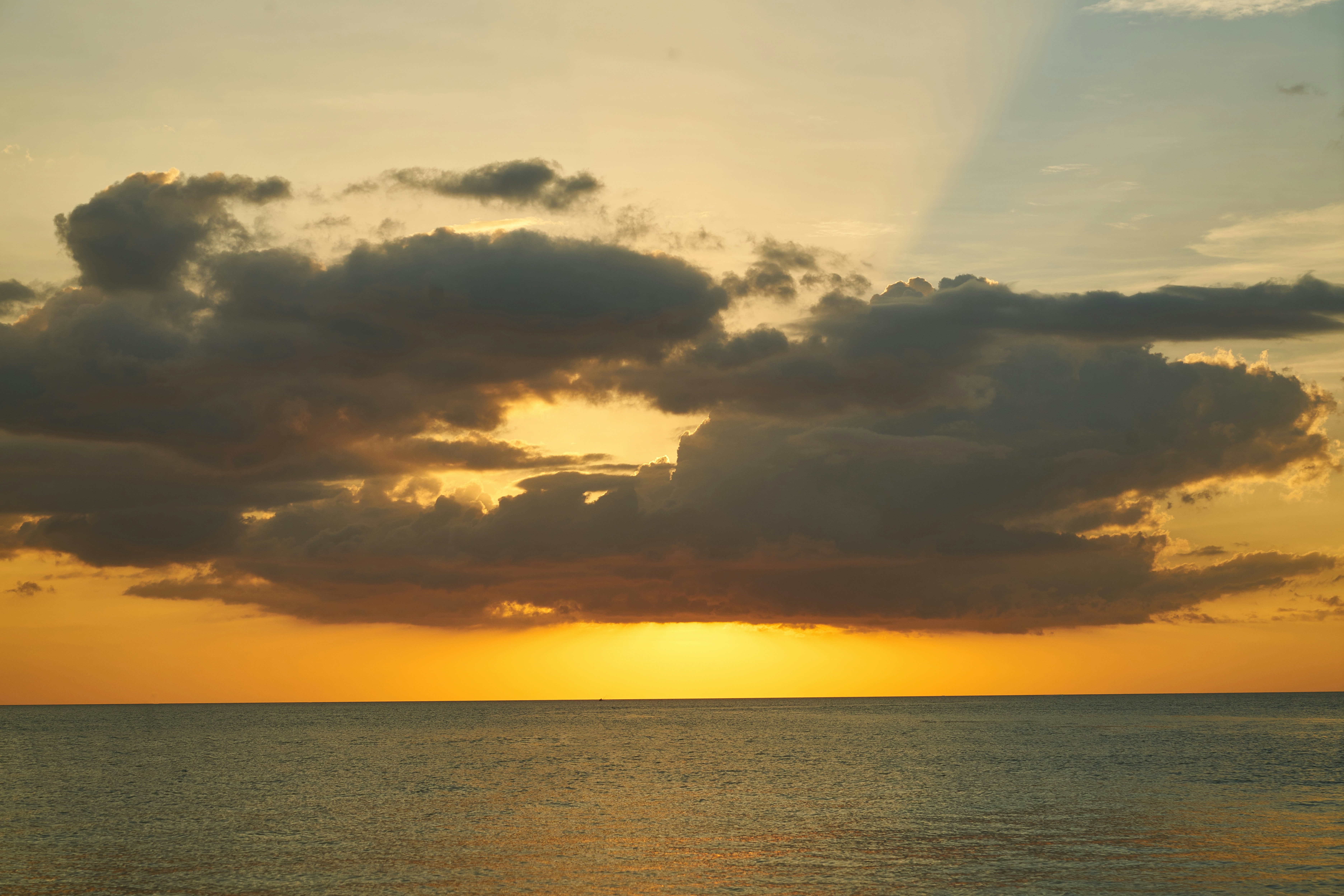 Photo by enginakyurt