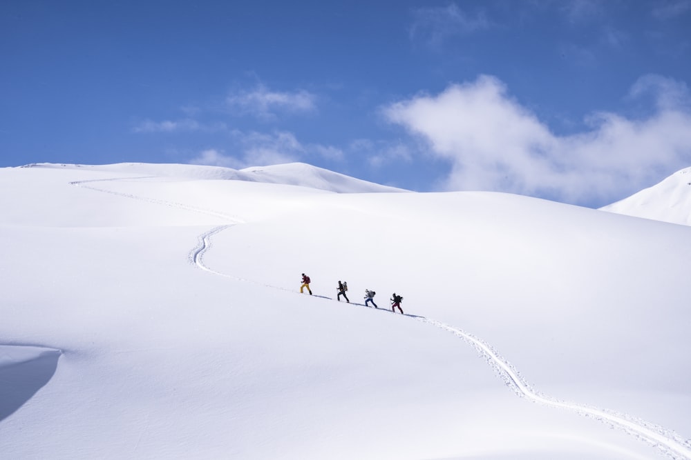 un groupe de personnes dévalant une piste enneigée à skis