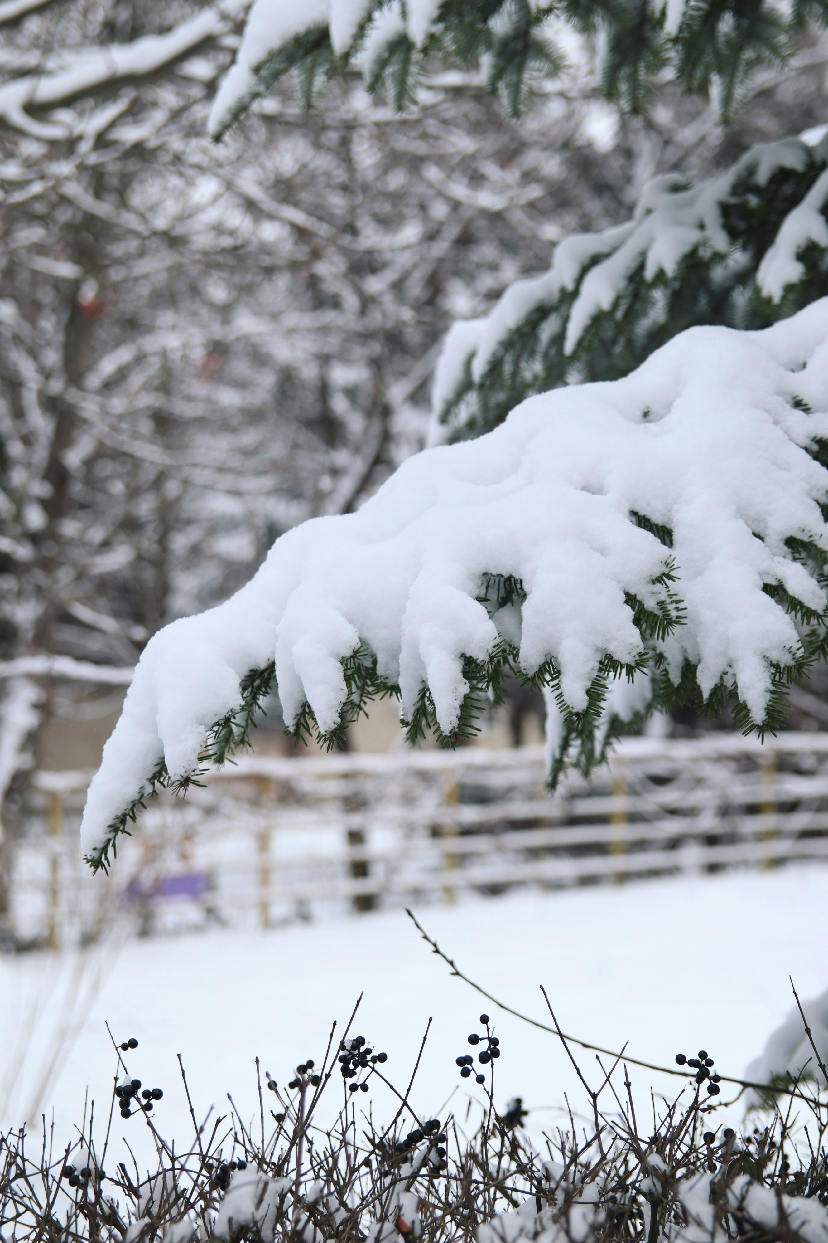 Photo by feeling_hope