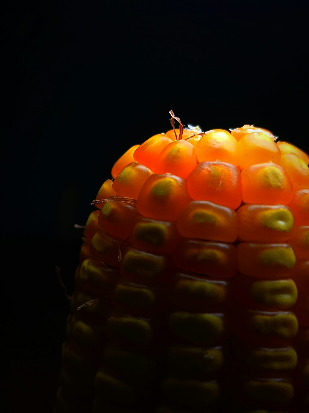 an orange sitting on top of a corn on the cob