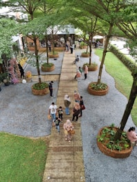 Wide view of green gardens with wooden benches and rustic pathways.