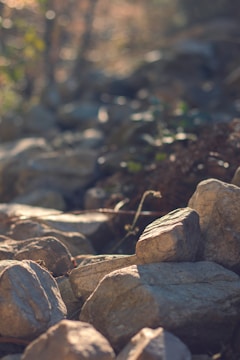 A rugged landscape where raw stones are carefully collected under soft sunlight.