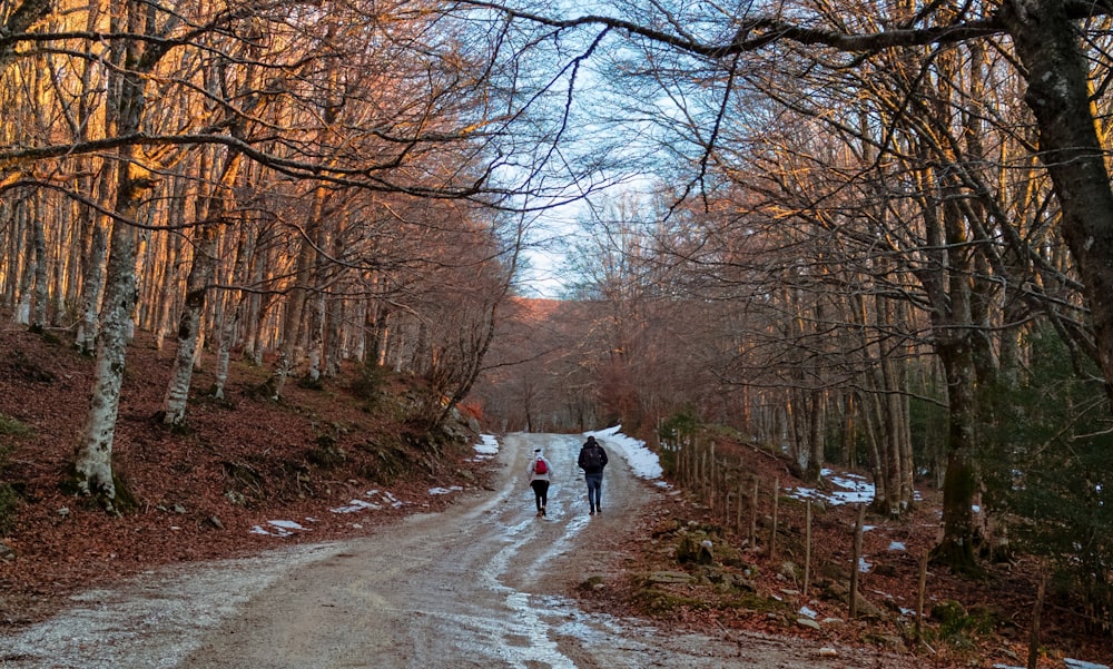 a couple of people walking down a snow covered road