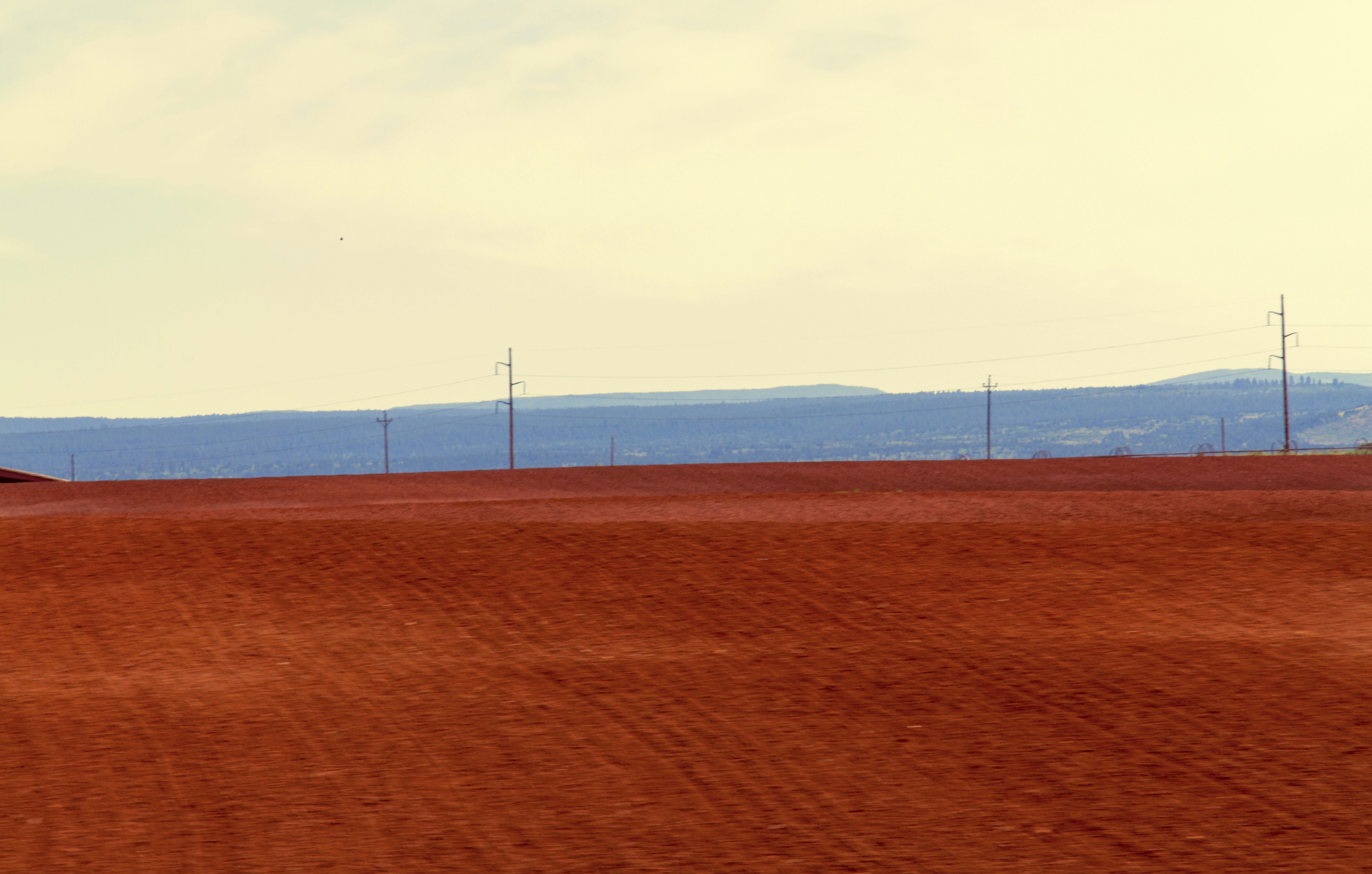 a person riding a horse on a dirt field