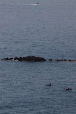 Kayakers paddling near the shore with whales surfacing in the background.