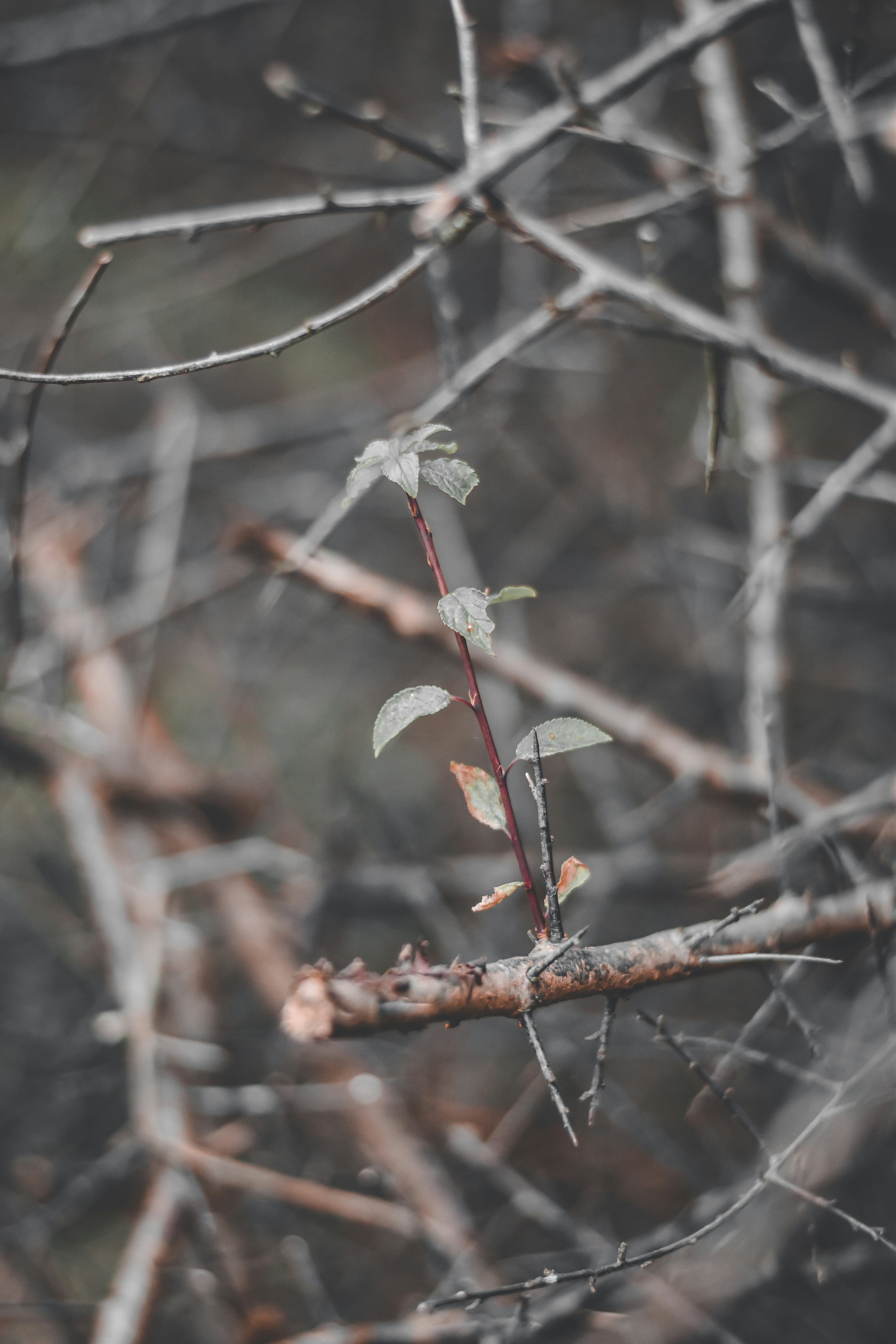 Photo by elliottmason