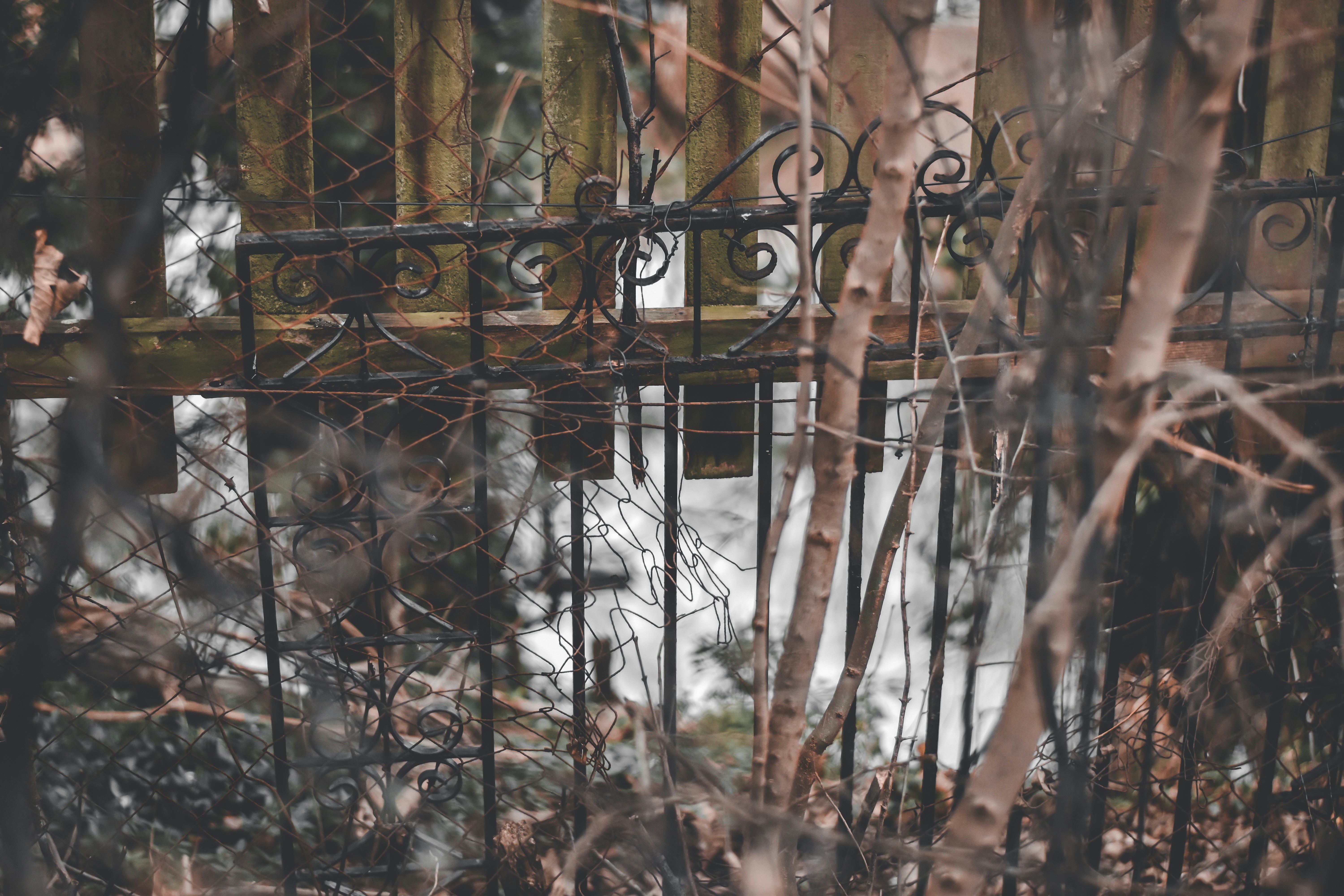 Photo by elliottmason