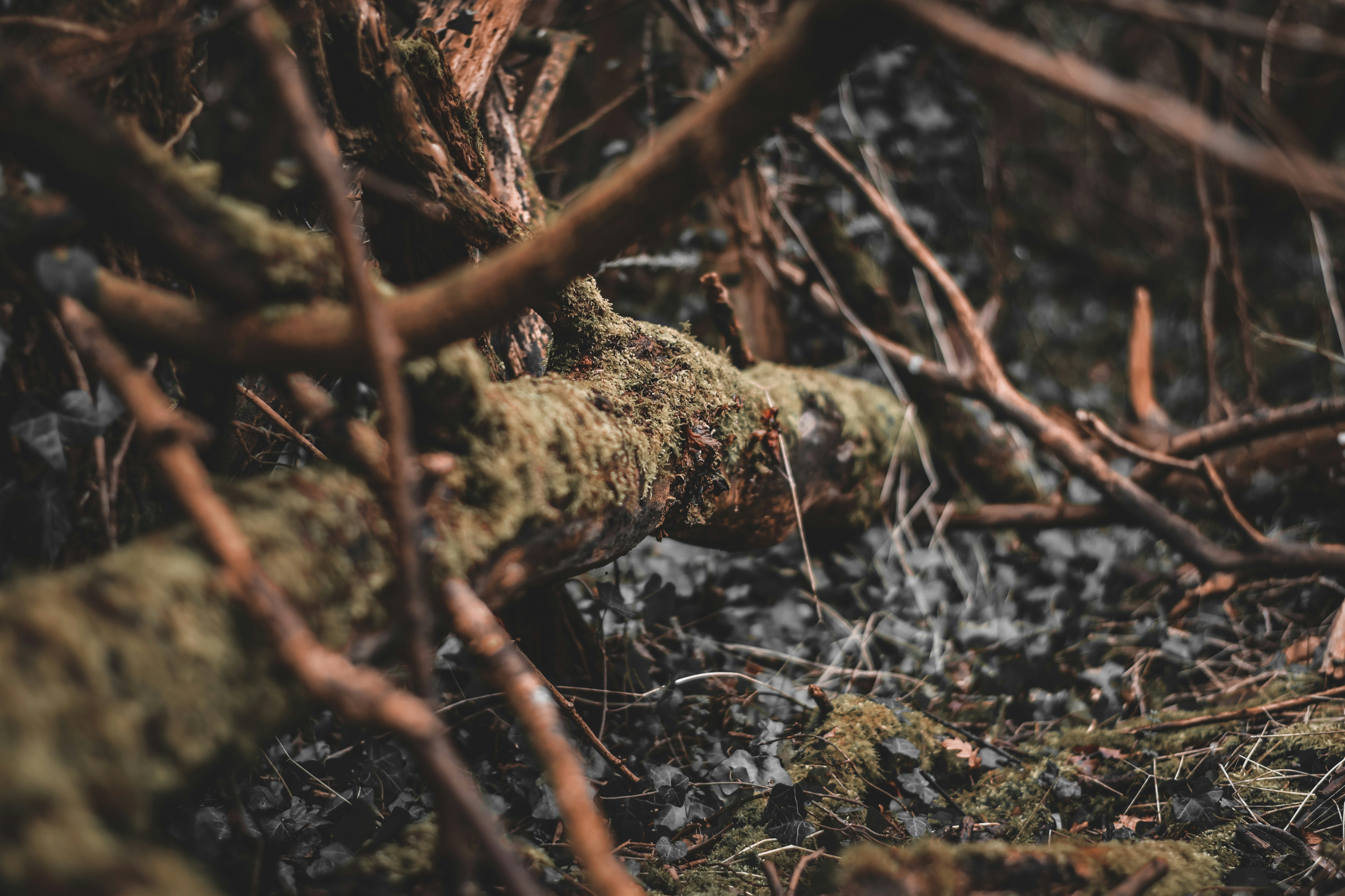 Photo by elliottmason