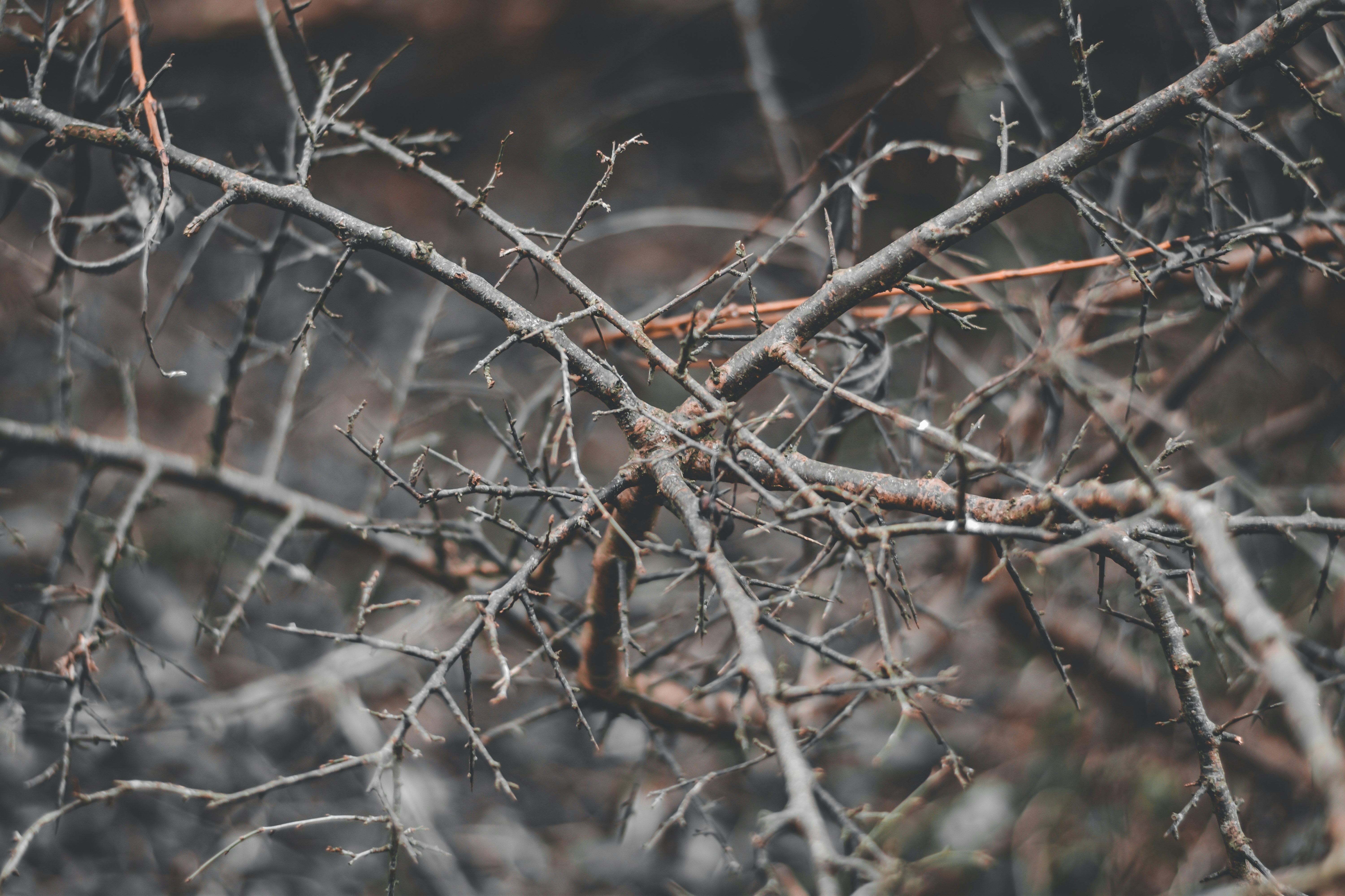 Photo by elliottmason