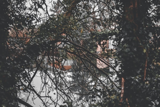 A serene view of the private trophy bass pond surrounded by lush greenery.