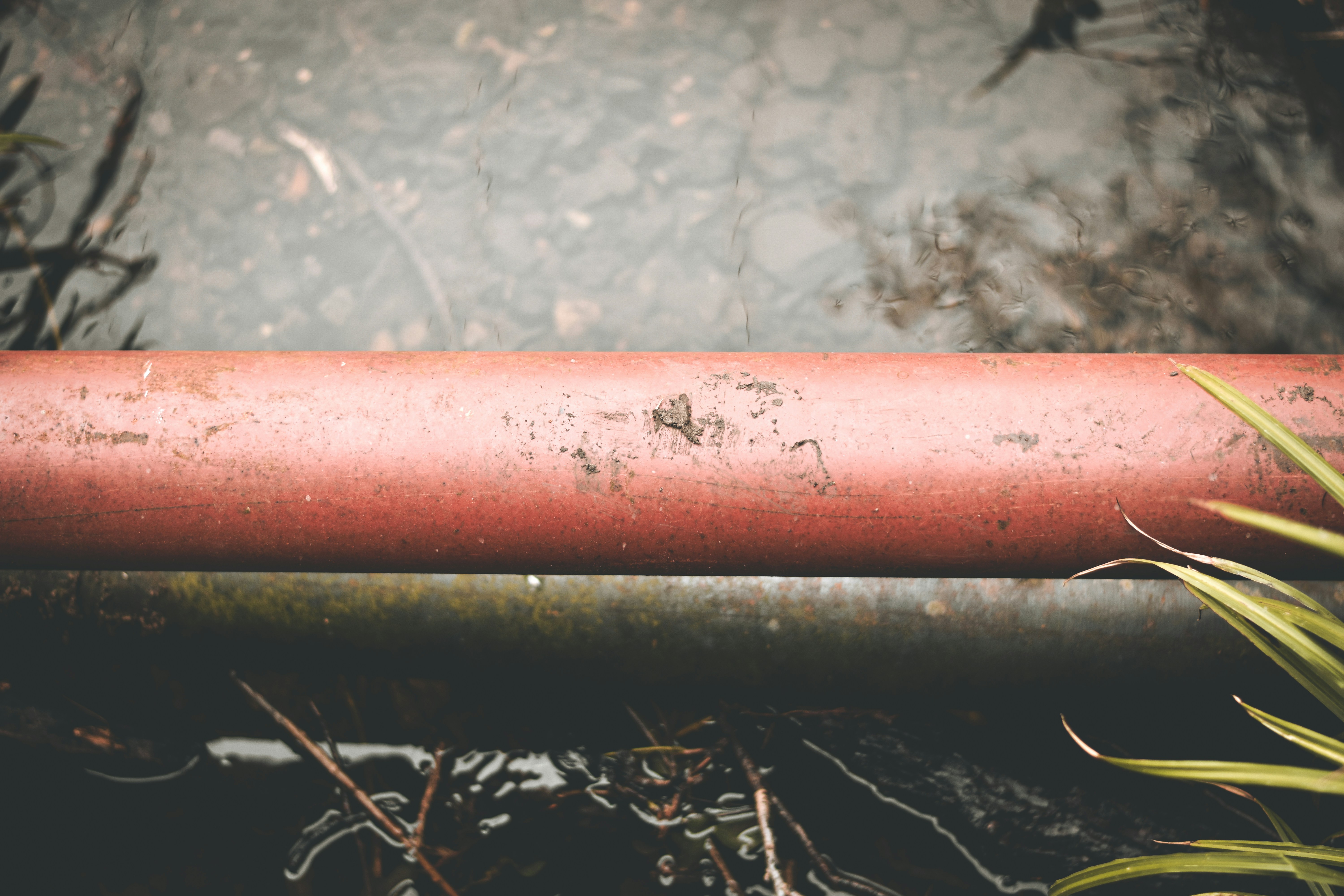 Photo by elliottmason