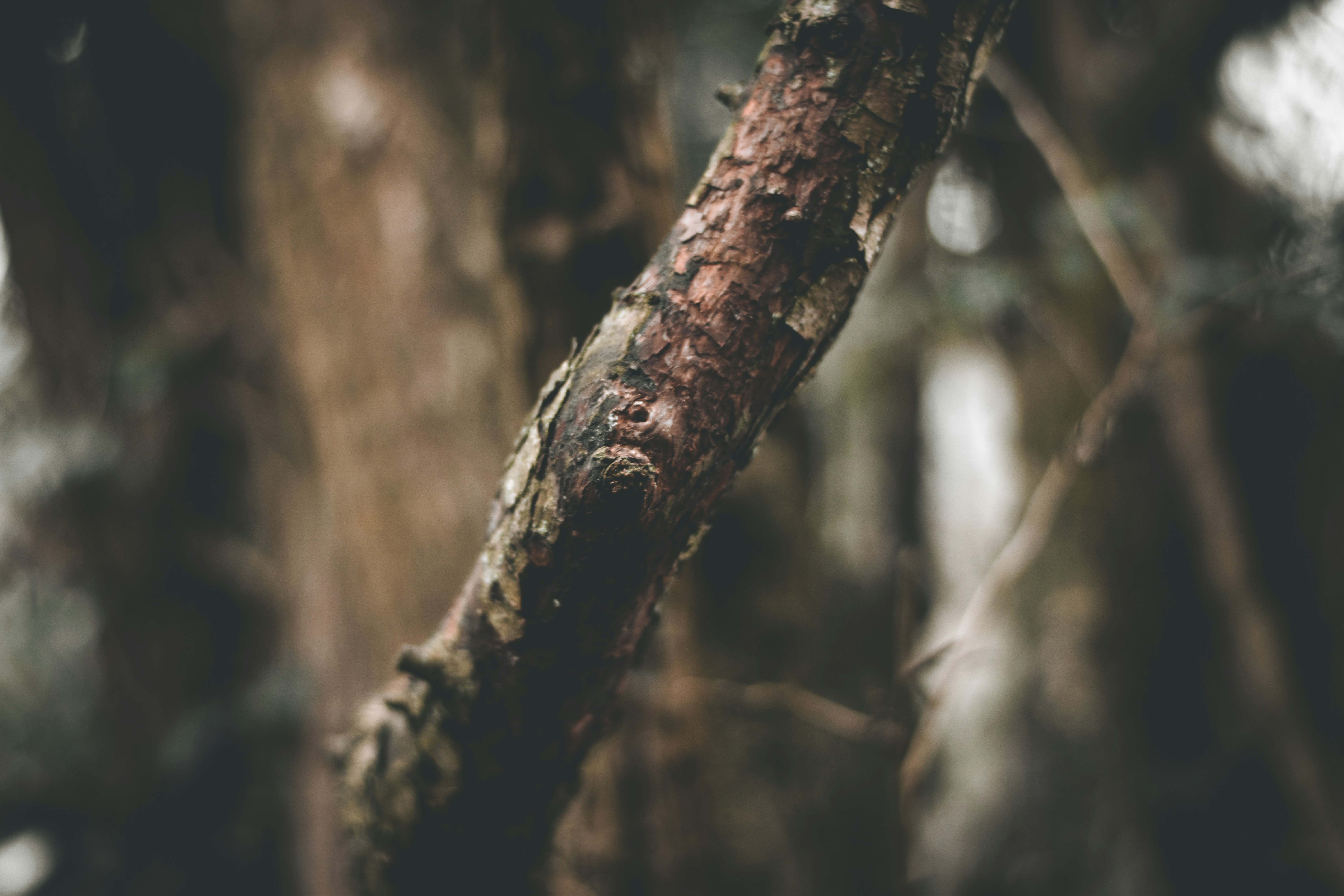 Photo by elliottmason