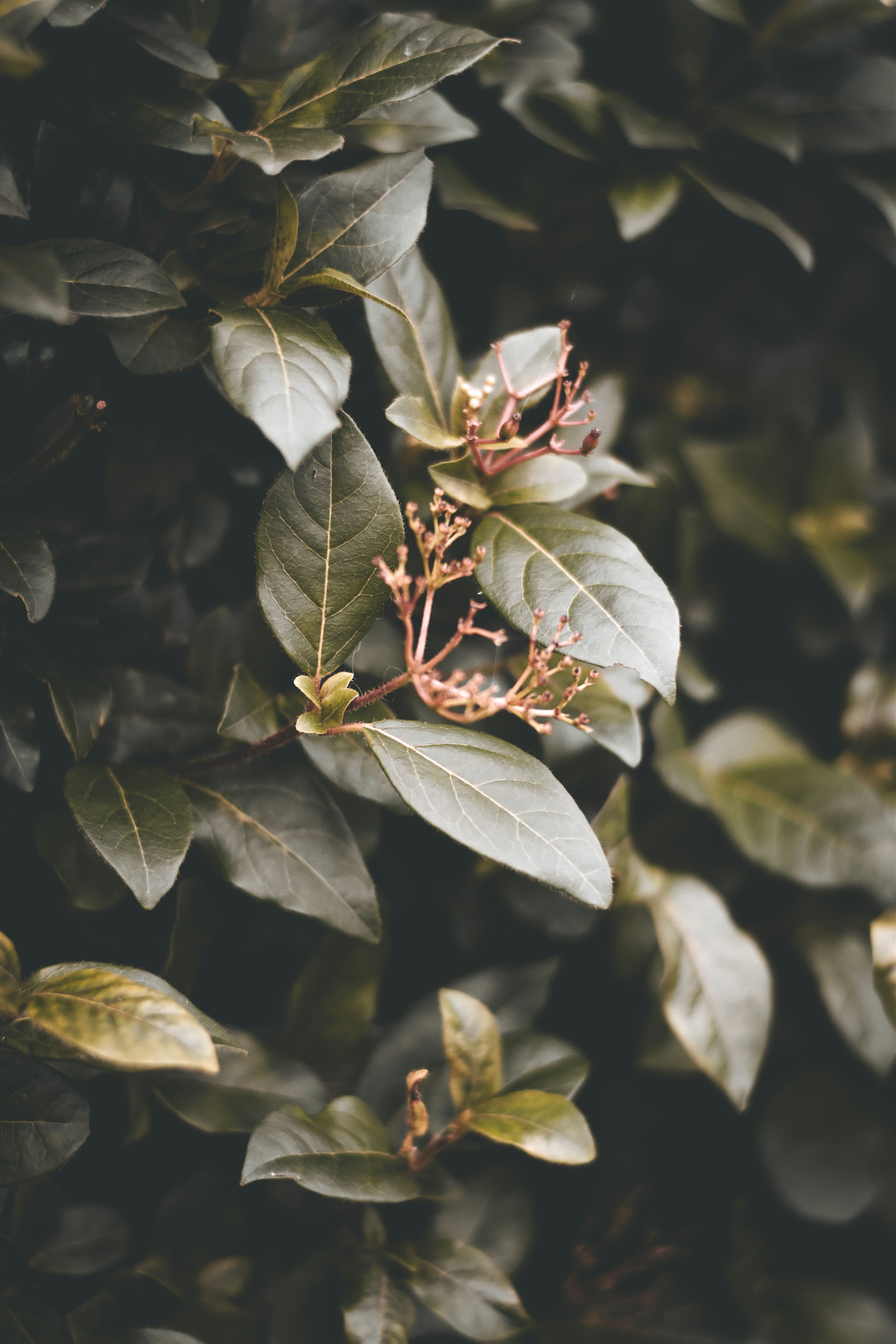 Photo by elliottmason